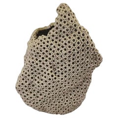 Vasi in ceramica
