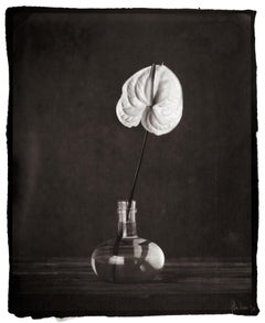 2010s Black and White Photography