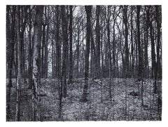 Black Forest
