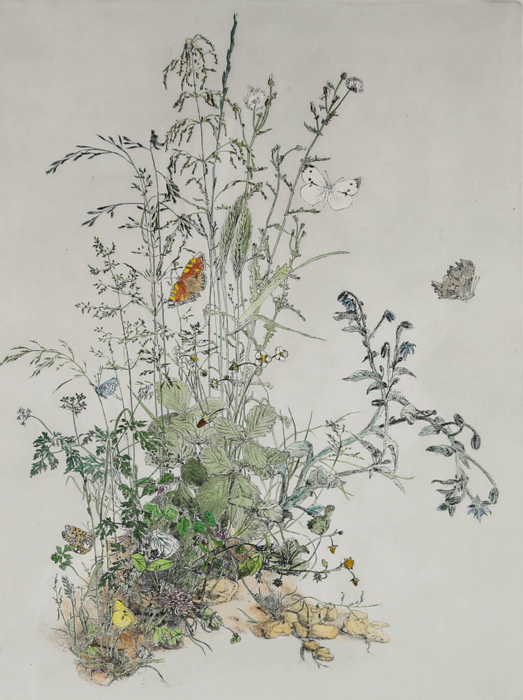 Gillian Whaite (1934-2012) - 20th Century Etching, Grasses and Butterflies For Sale 1
