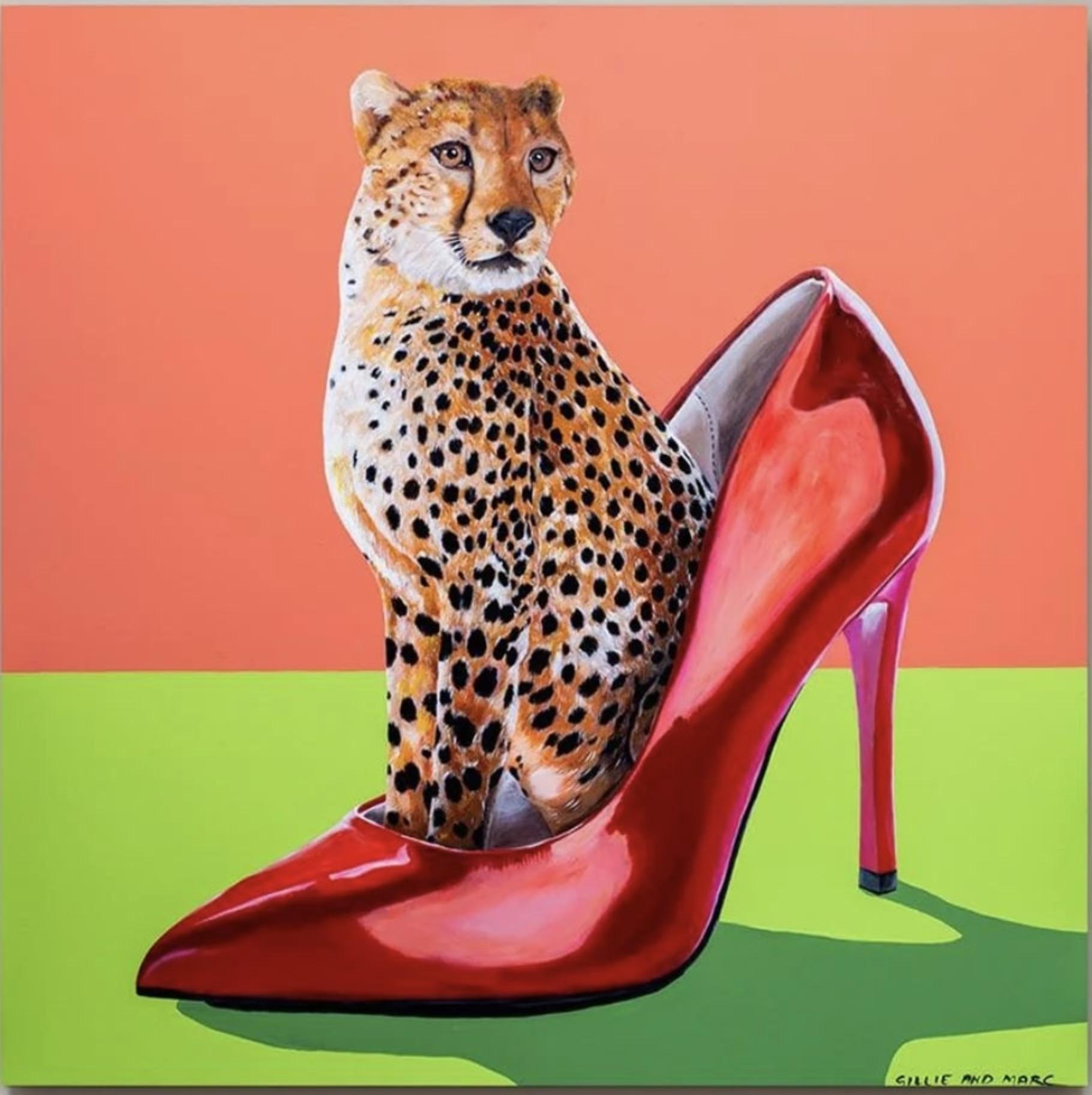 My Favourite Cheetah In A Shoe
