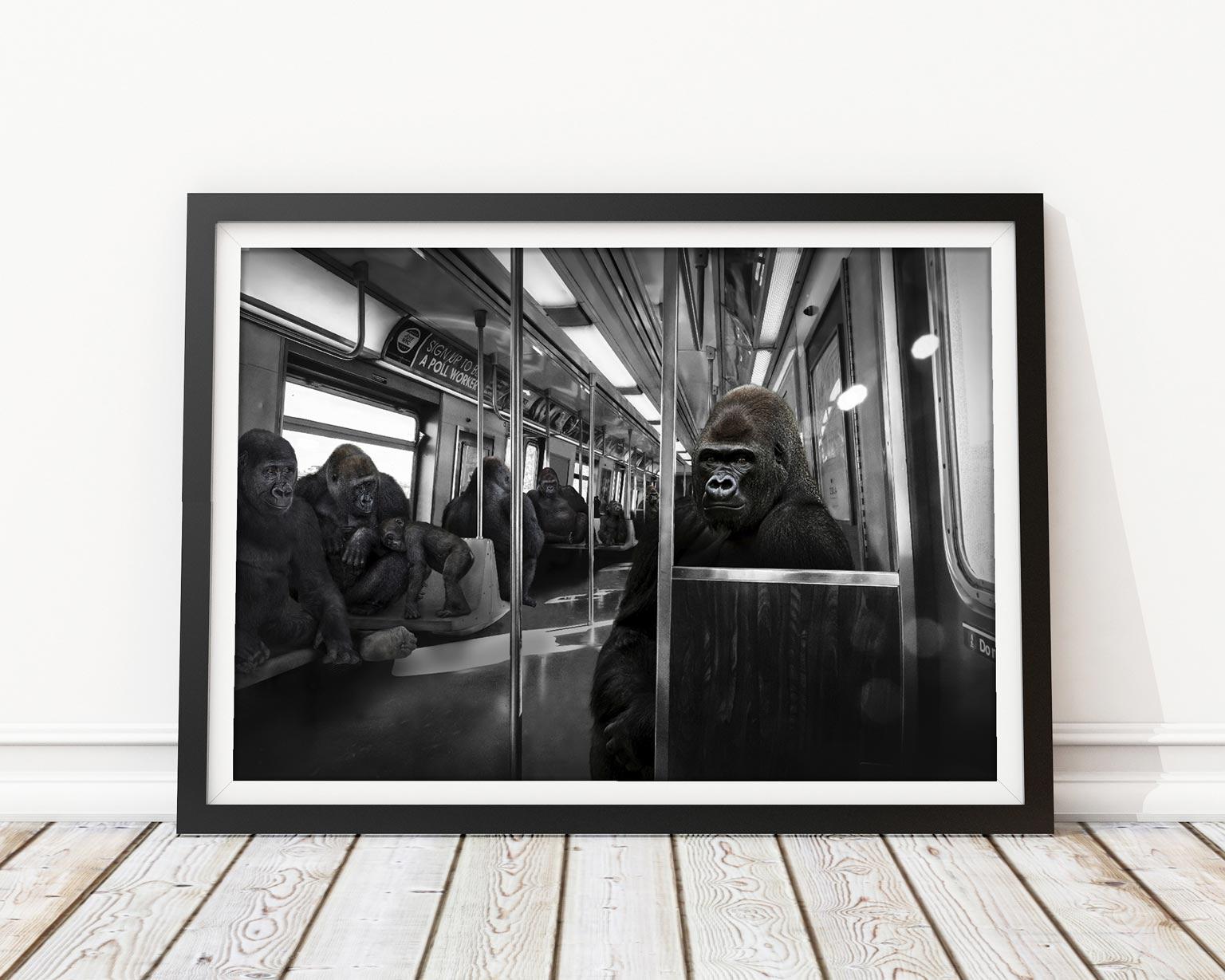 Black White Animal Photography - Pop Art - Giclee Print - Gorillas For Sale 2