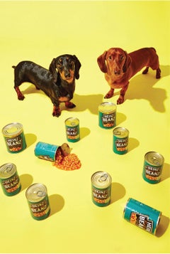 Photography Animal Print - Pop Art - Gillie and Marc - Fergie Sid Daschund Pups