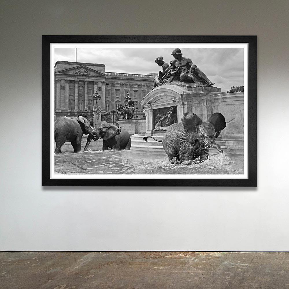 Animal Print - Limited Edition - Art - Gillie and Marc - Elephant Orphans London For Sale 2