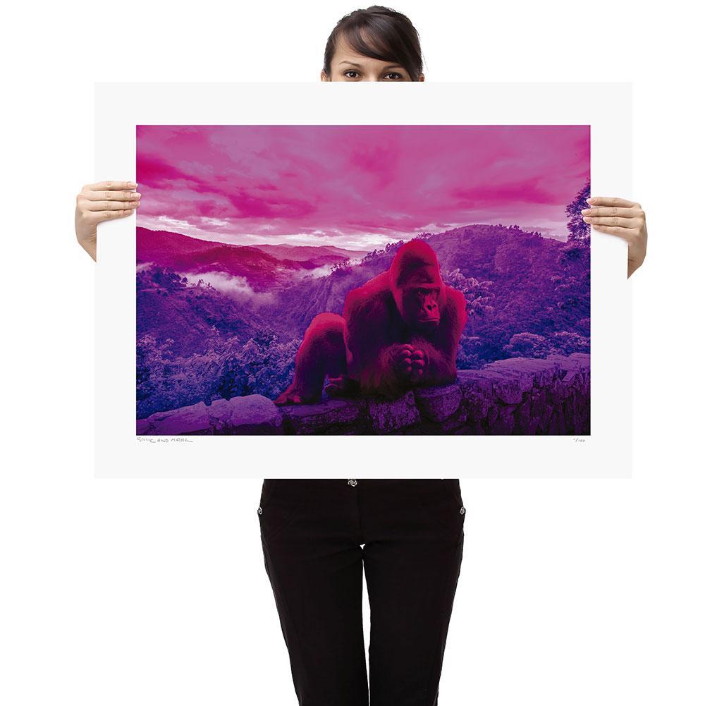 Title: King Nyani in the wild in pink
Limited Edition Print

Gillie and Marc’s prints are signed, limited-editions and are produced on Entrada Rag Bright 300gsm, 100% acid-free, 100% cotton rag paper, with a 40mm white border.

IMPORTANT: Buying