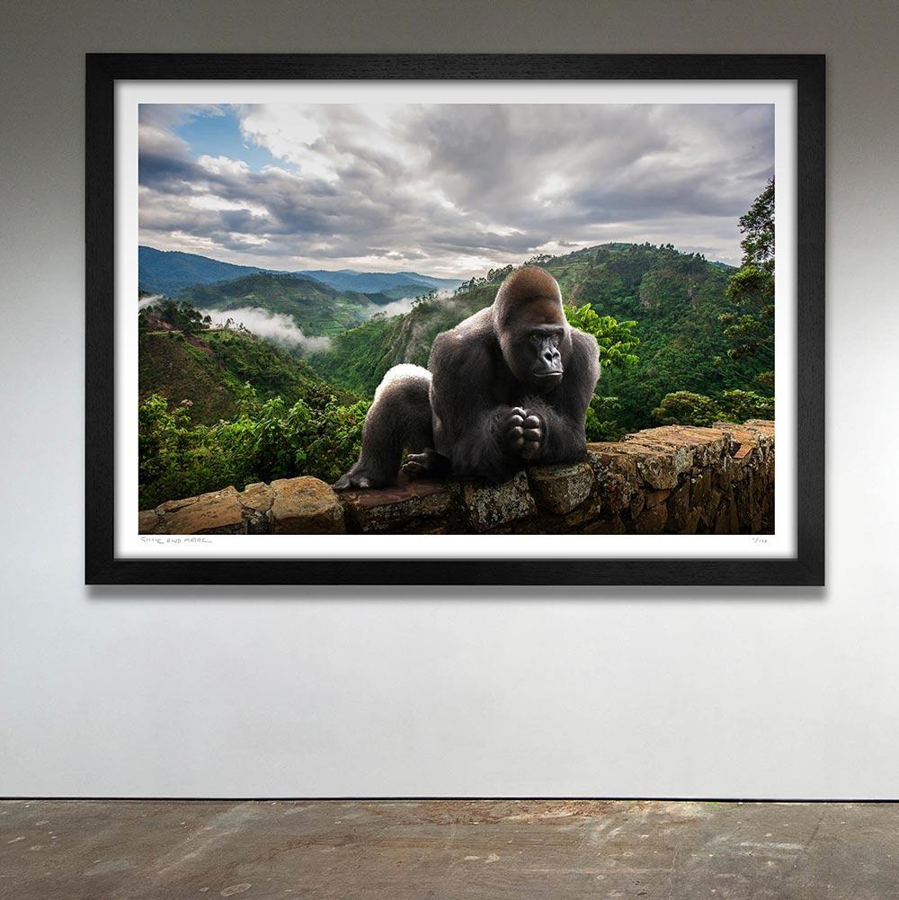 Animal Print - Limited Edition - Art - Gillie and Marc - King Nyani on ledge For Sale 4