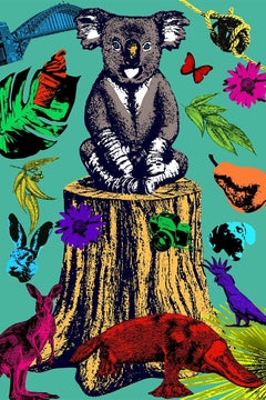 Animal Print - Limited Edition - Art - Koala - Gillie and Marc - Lewis 