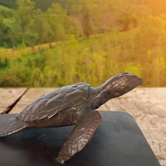 Authentic Bronze Love the Hawksbill Turtle Sculpture by Gillie and Marc