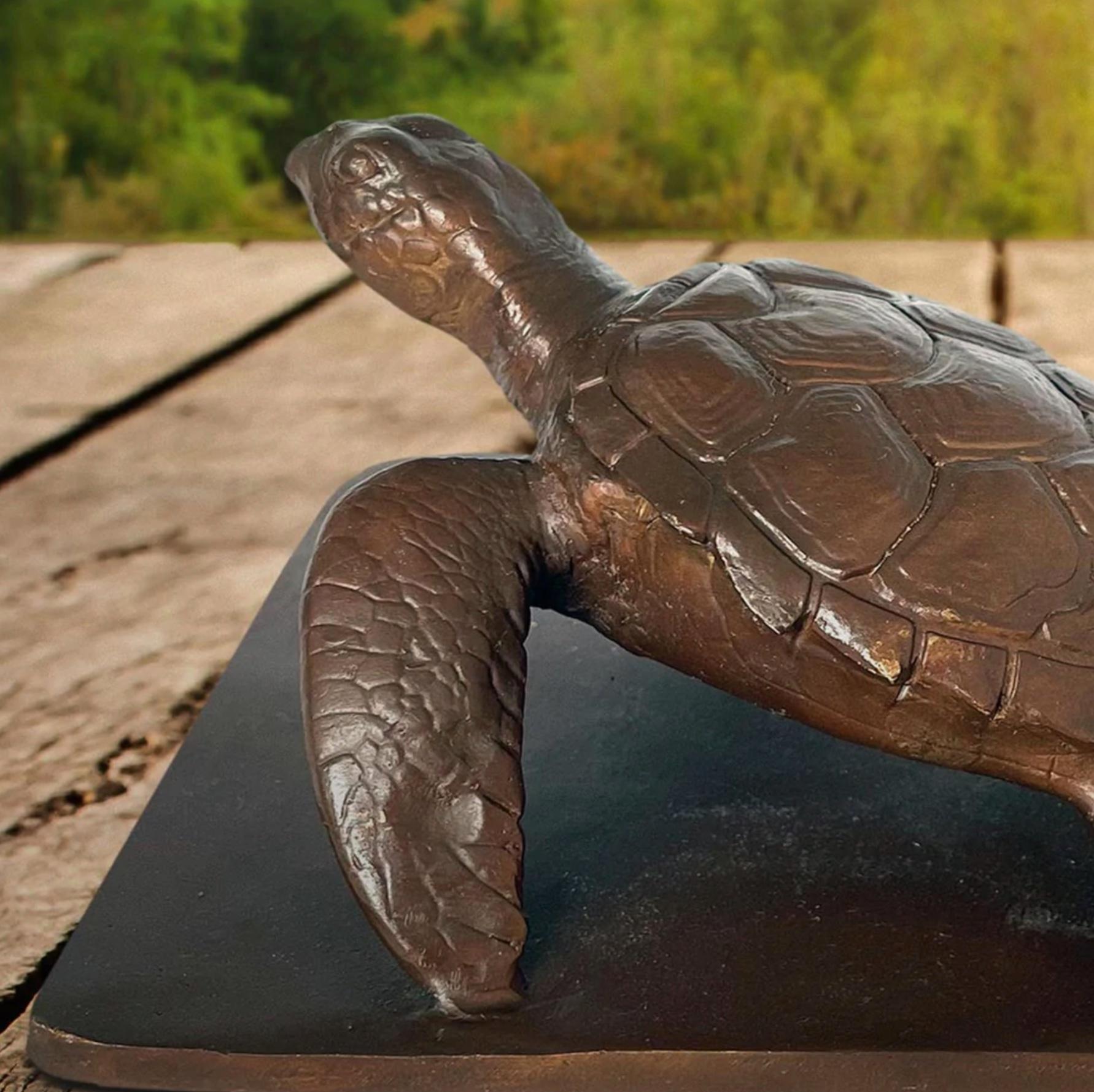 Authentic Bronze Love the Hawksbill Turtle Sculpture by Gillie and Marc 4