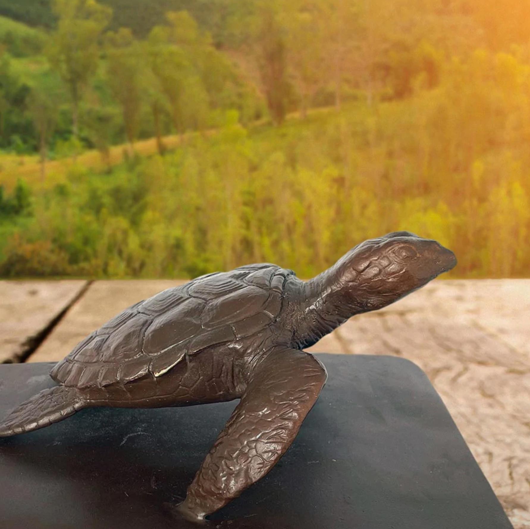 Authentic Bronze Love the Hawksbill Turtle Sculpture by Gillie and Marc 6