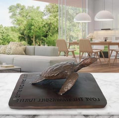 Autentica scultura in bronzo Love the Hawksbill Turtle di Gillie e Marc
