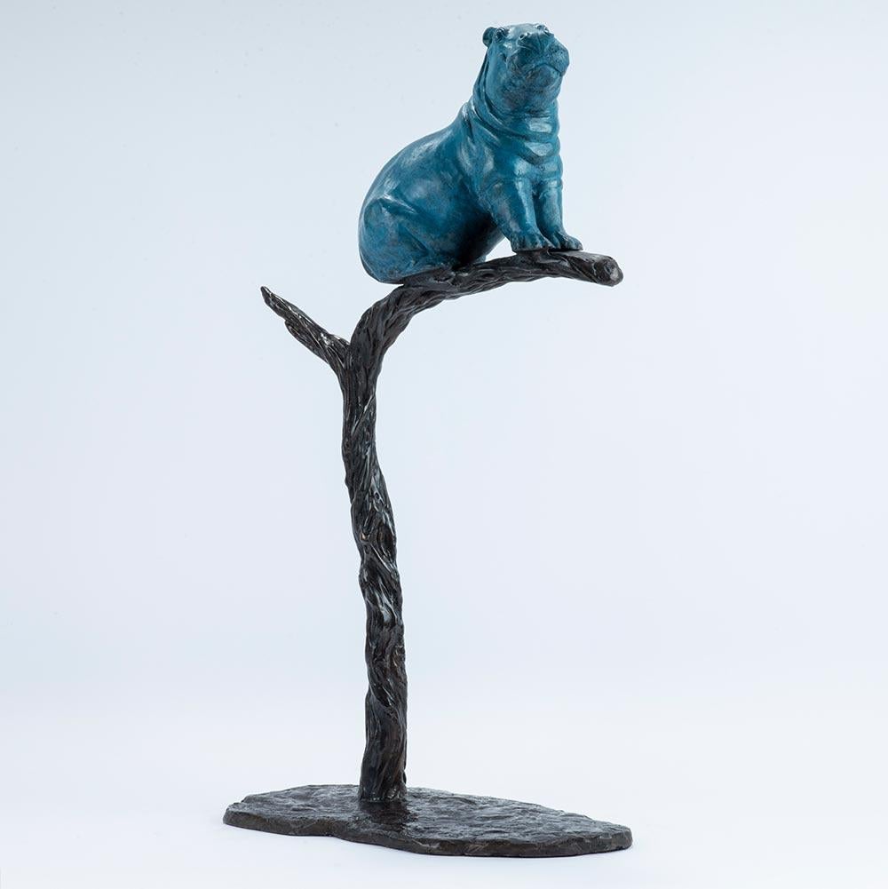 Title: The Tree Hippo was a Rare Species
Authentic bronze sculpture

This authentic bronze sculpture titled 'he Tree Hippo was a Rare Species' by artists Gillie and Marc has been meticulously crafted in bronze. It features a Hippo on a tree and