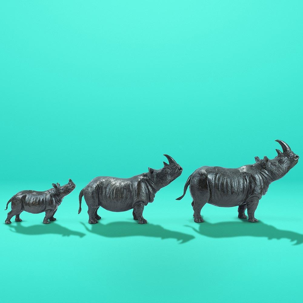 Title: Rhino Family
Authentic bronze sculpture

Dimensions
Smallest Rhino
5.1 x 9 x 2.7 inch(H*L*W) 3.5 lbs
13 x 23 x 7 cm (H*L*W) 1.58 kg

Medium Rhino
7.9 x 13 x 4.3 inch (H*L*W) 9.6 lbs
20 x 33 x 11 cm (H*L*W) 4.34 kg

Large Rhino
14.6 x 9  x 4.7