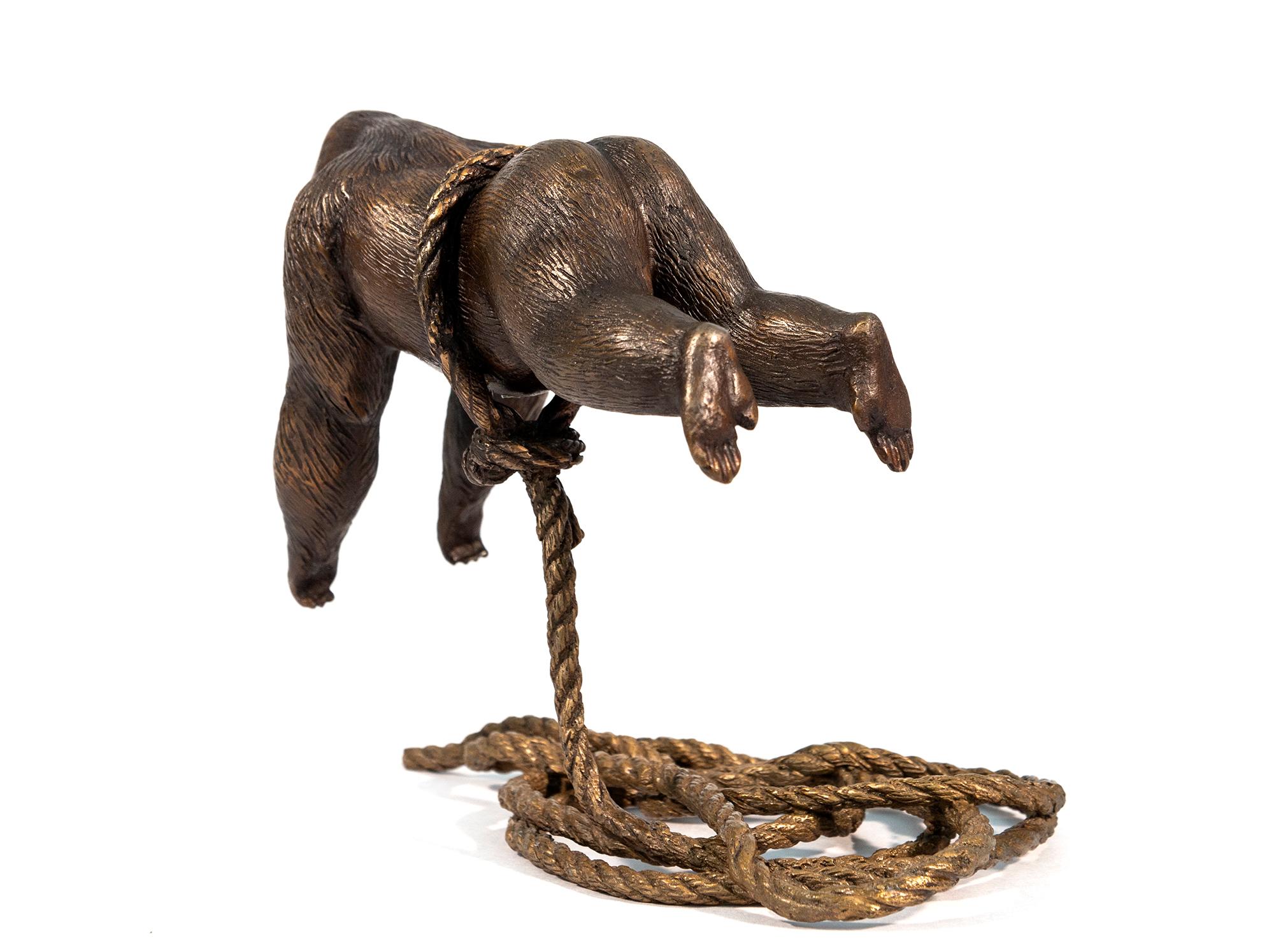 This contemporary bronze sculpture of a gorilla was created by Gillie and Marc.

A large male gorilla, sculpted in dark bronze appears to fly, its body suspended in mid-air, a golden-coloured rope around its middle. This tabletop sculpture is