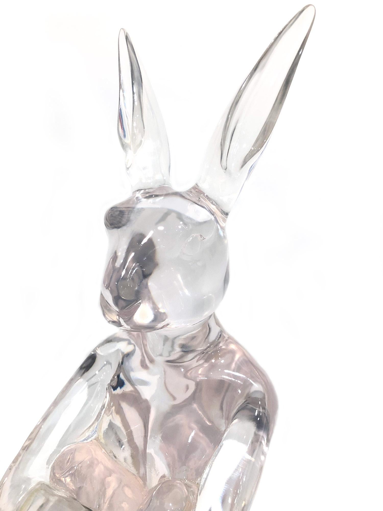 Lolly Rabbitgirl (Clear) 6
