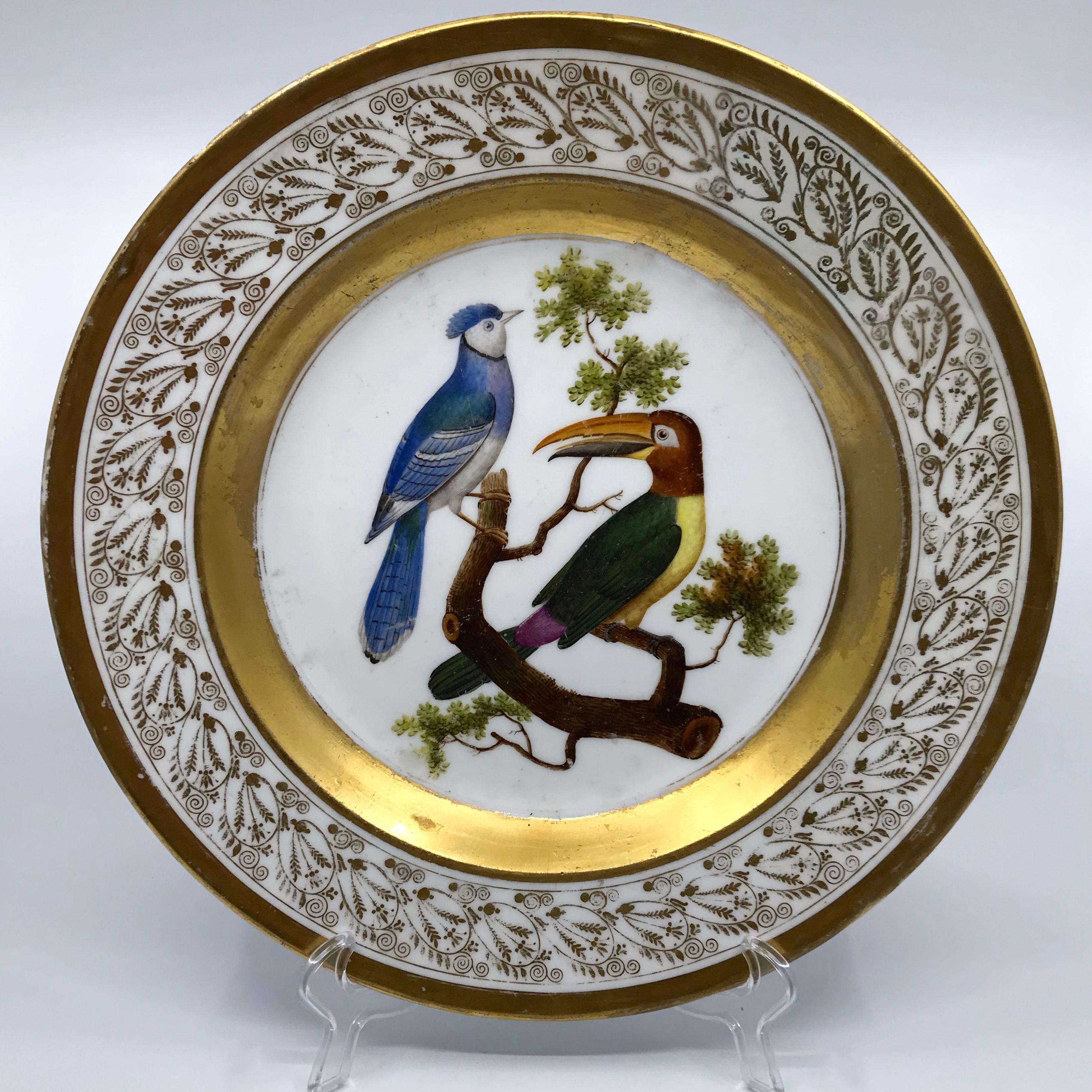 Gilt and painted neoclassical French Empire bird plate. Large old Paris Porcelain circular serving dish with hand painted gilt foliate scrolled border with wide bands centering a pair of birds on a tree limb; featuring a South American toucan from