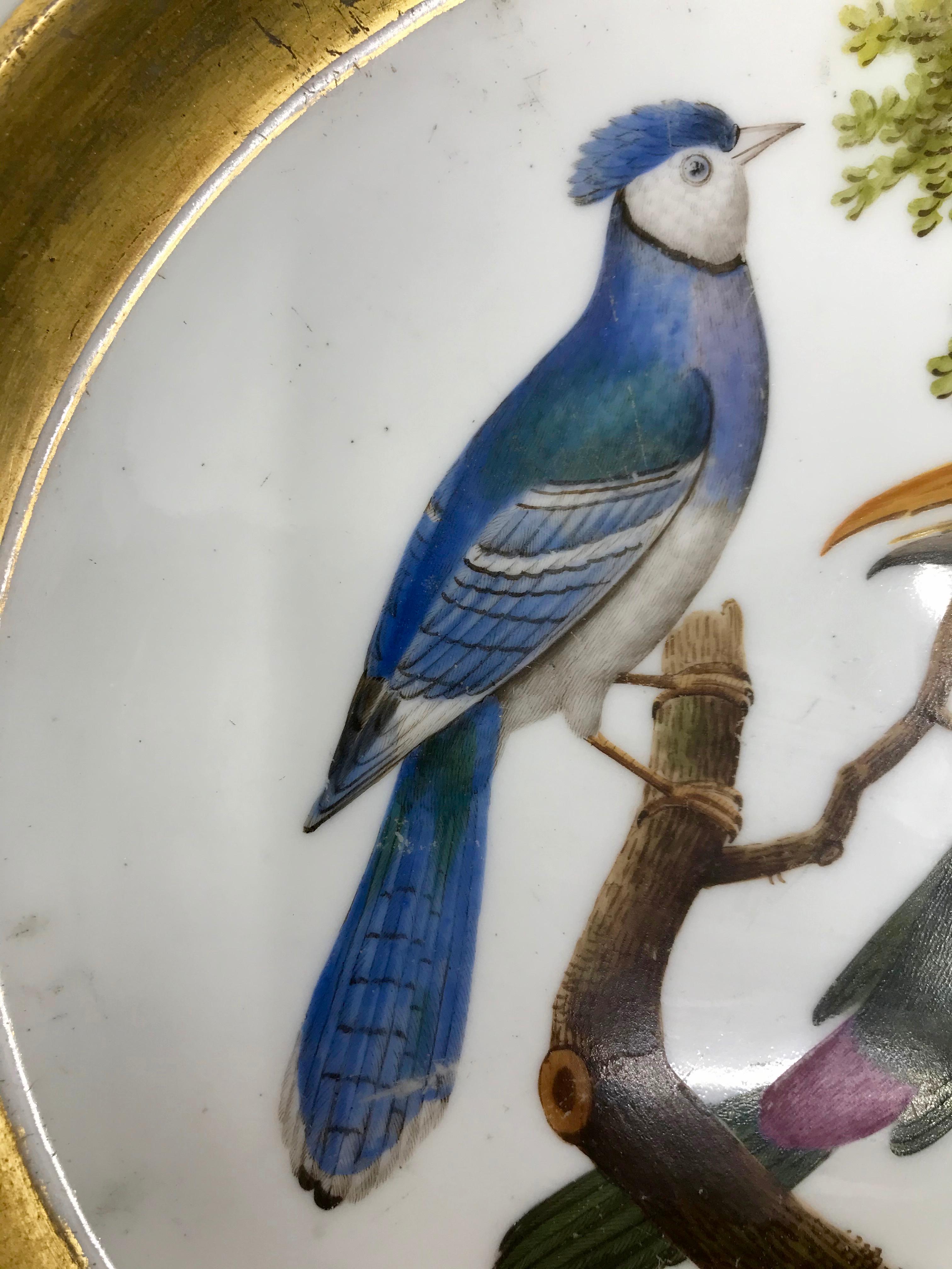 XIXe siècle Assiette à oiseaux néoclassique française Empire peinte et dorée en vente