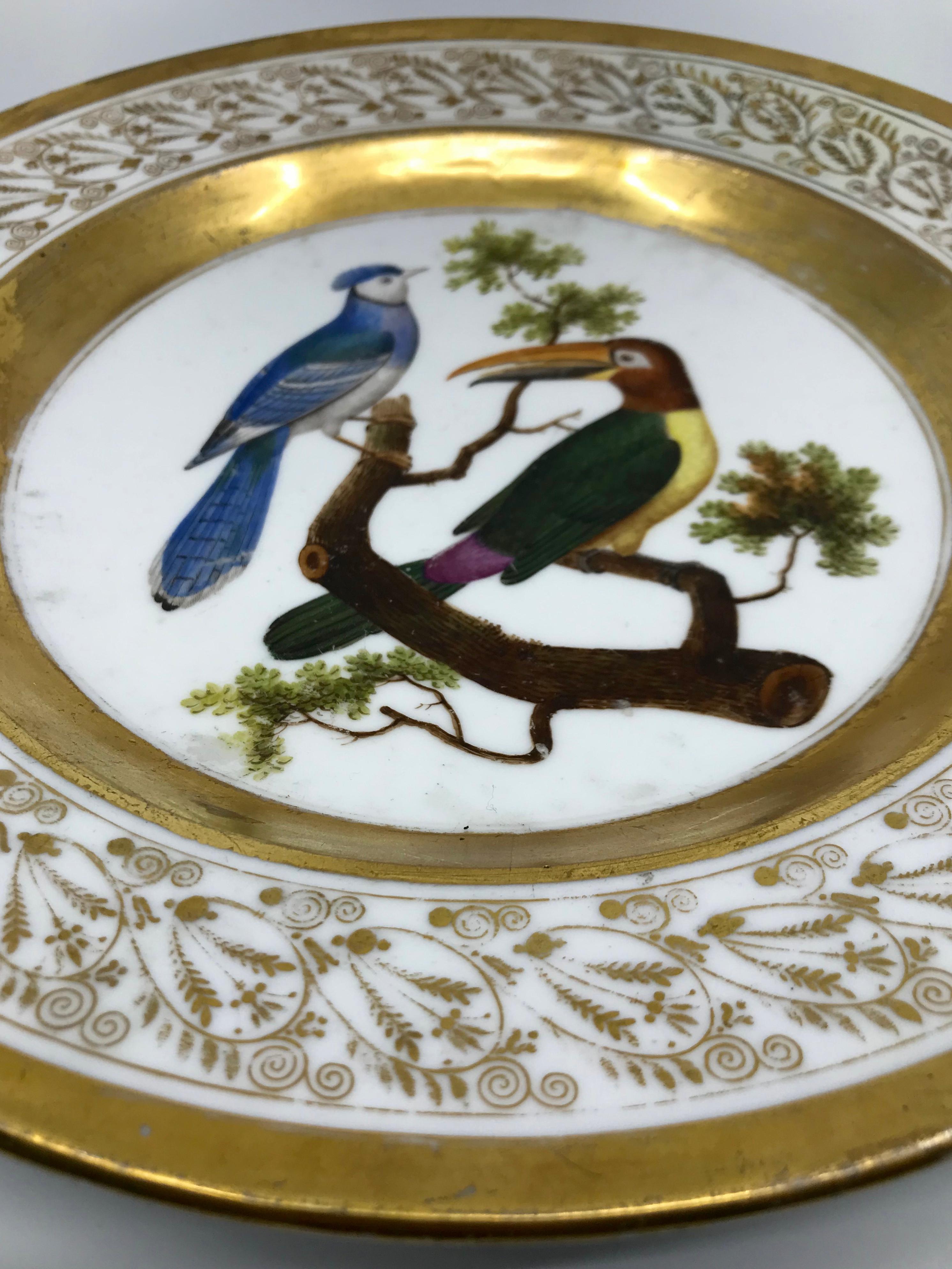 Porcelaine Assiette à oiseaux néoclassique française Empire peinte et dorée en vente