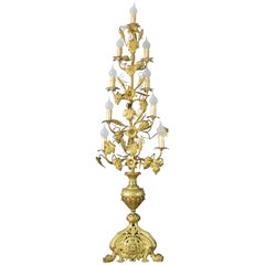 Gilt Brass and Bronze Nine-Light Electrified French Candelabra, Floor Lamp