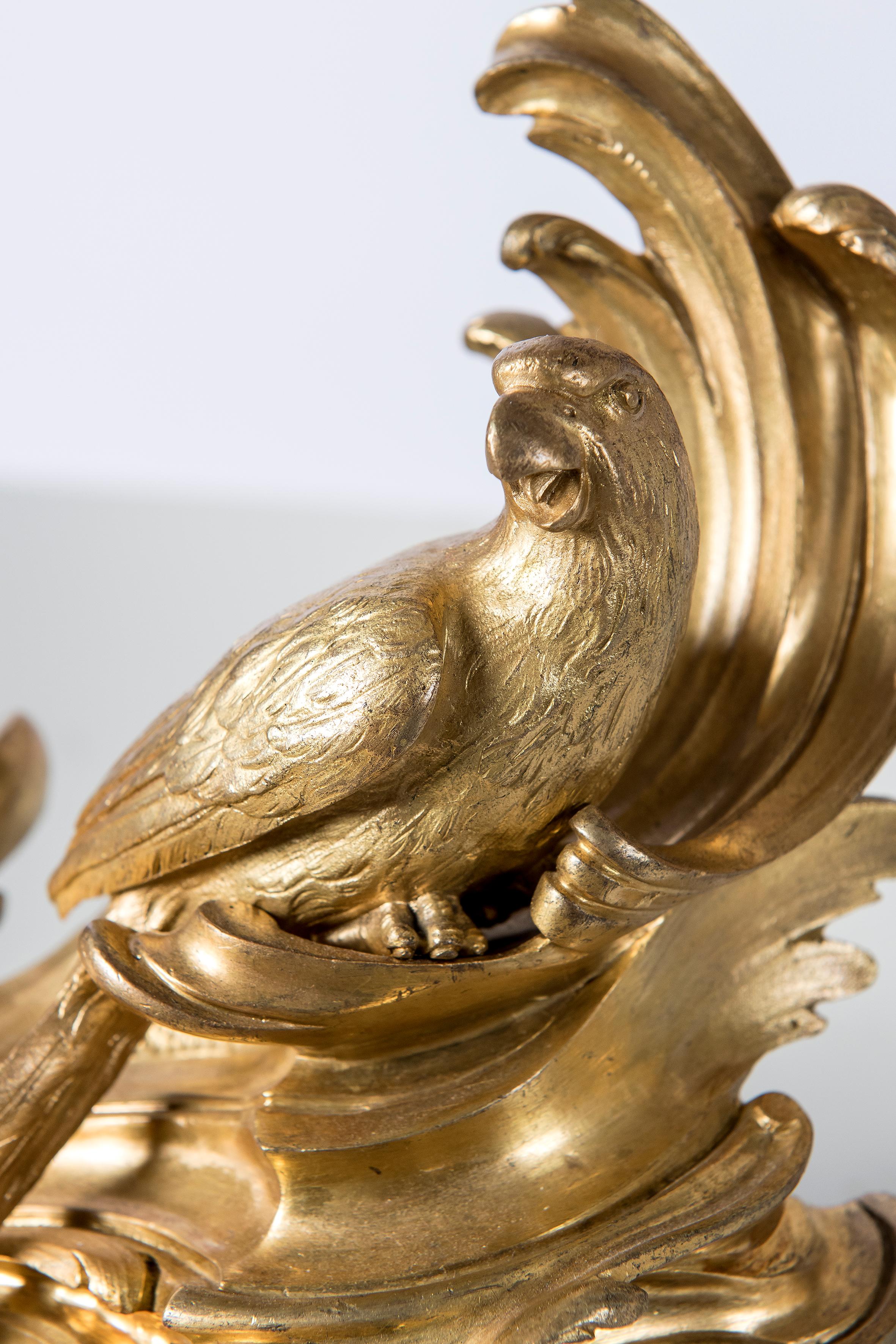 Late 19th Century Gilt Bronze and Iron Andirons with Bird Figures, Louis XV Style, circa 1890 For Sale