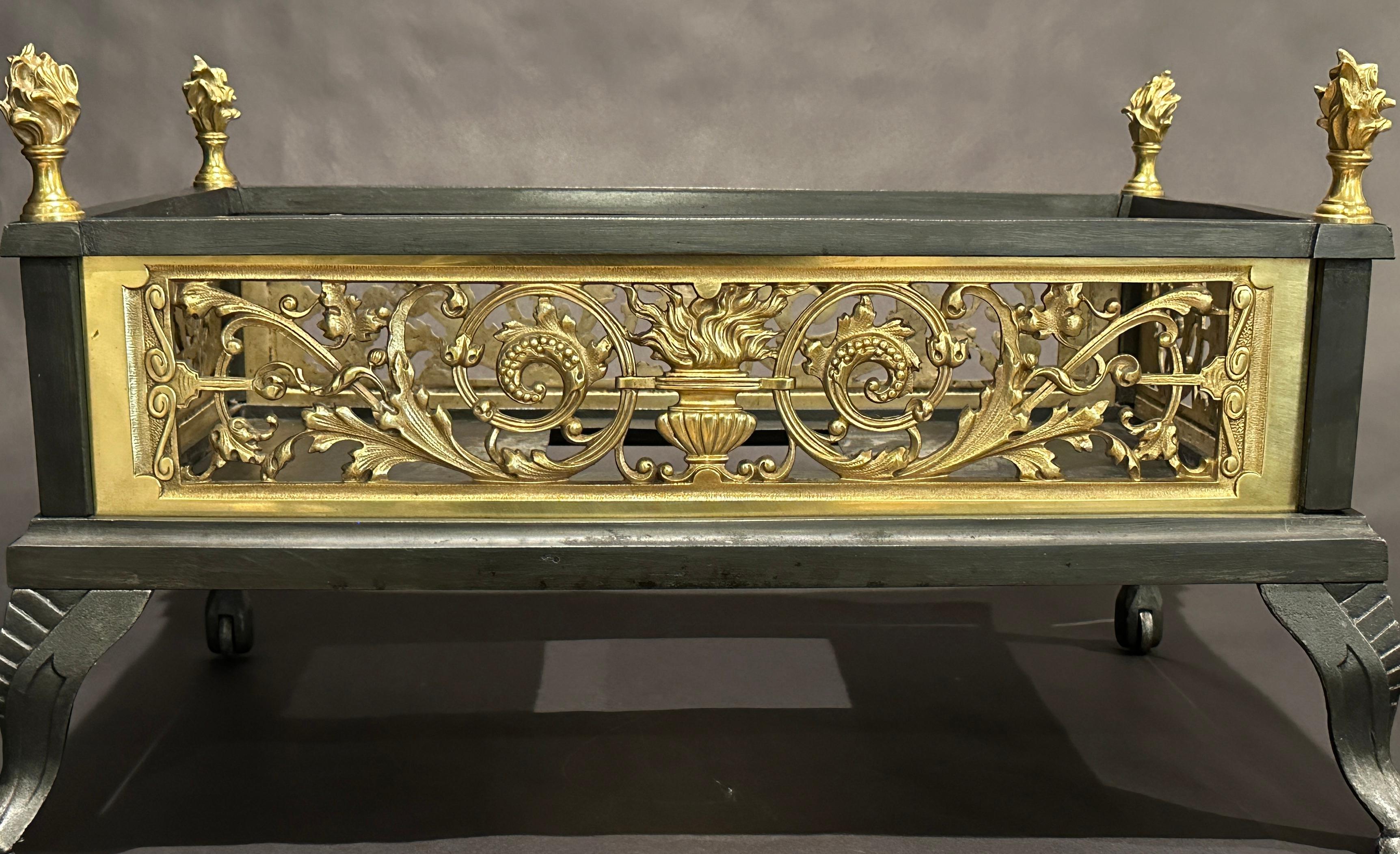 French Gilt Bronze And Iron Fireplace Box Grate
