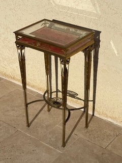 Gilt bronze Little Vitrine Louis XVI Style