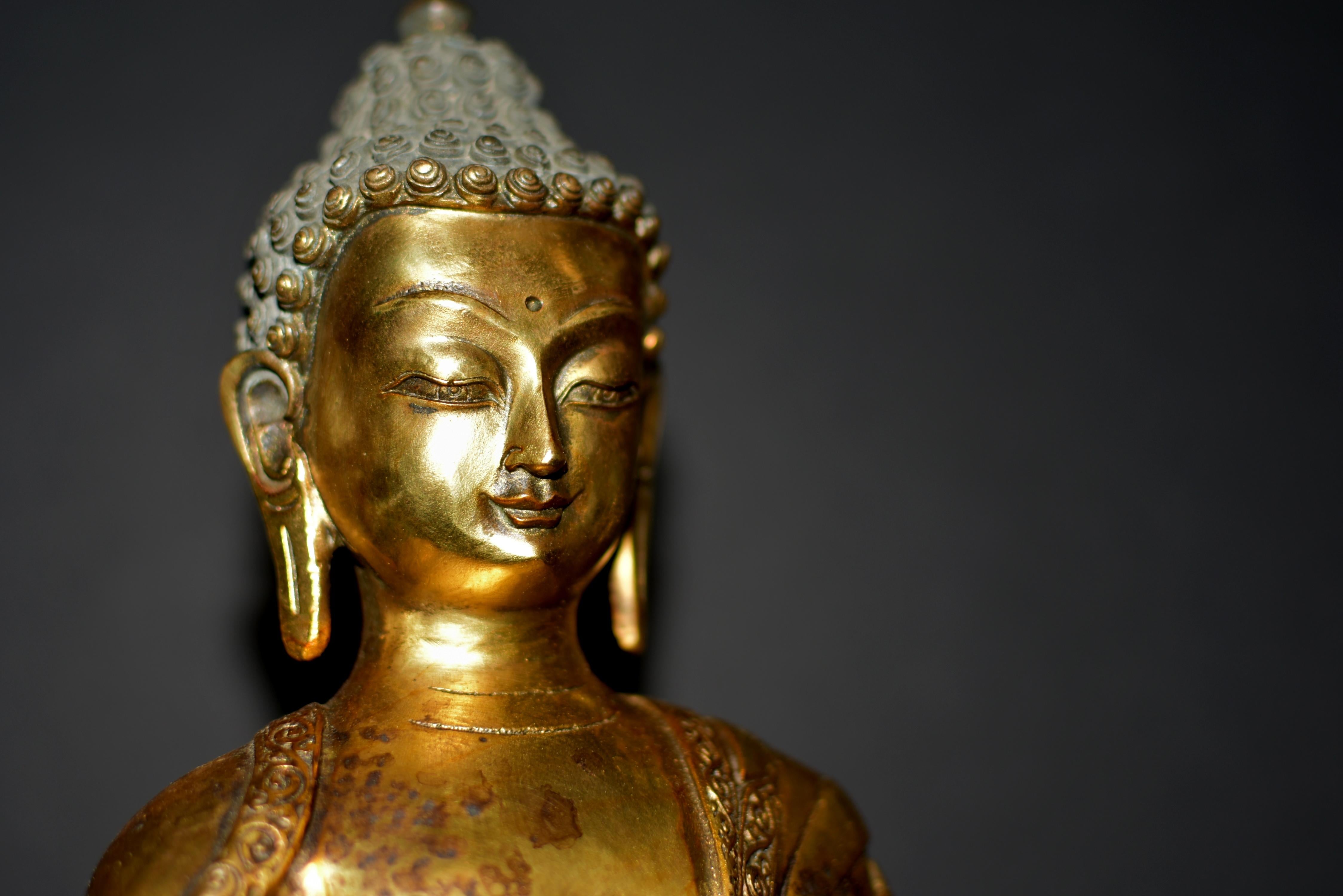 Gilt Bronze Young Buddha Shakyamuni Statue 6