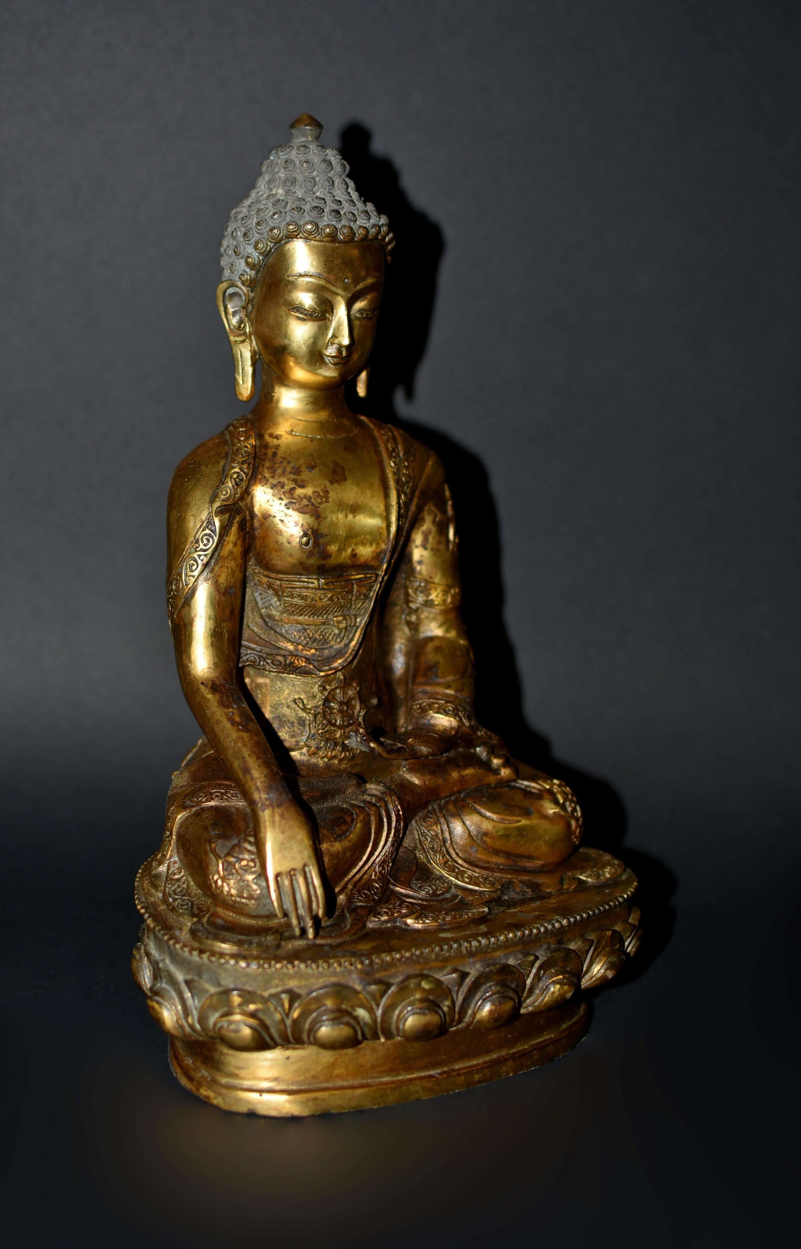Tang Gilt Bronze Young Buddha Shakyamuni Statue