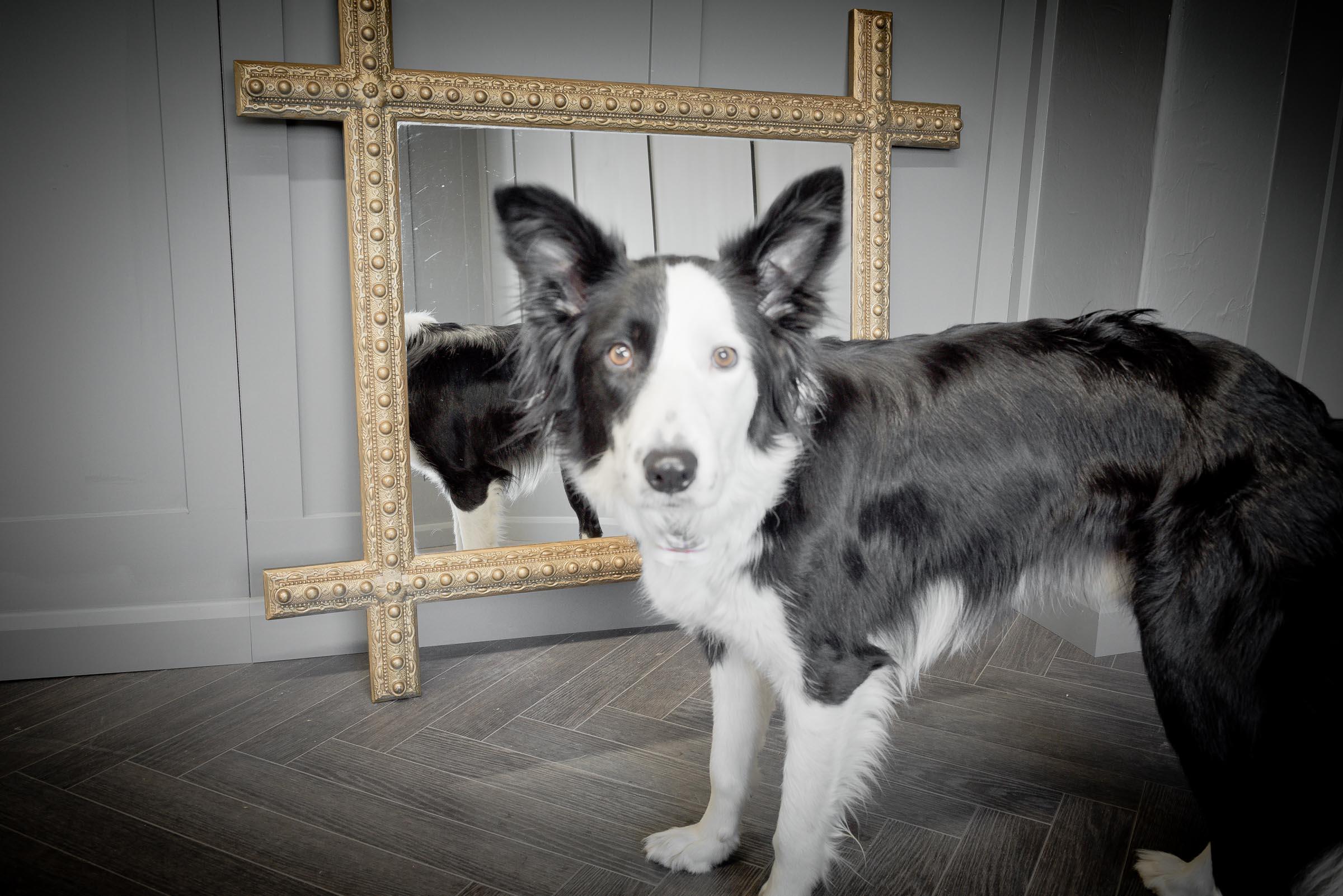 Gilt Cross Framed Mirror In Good Condition For Sale In Alton, GB