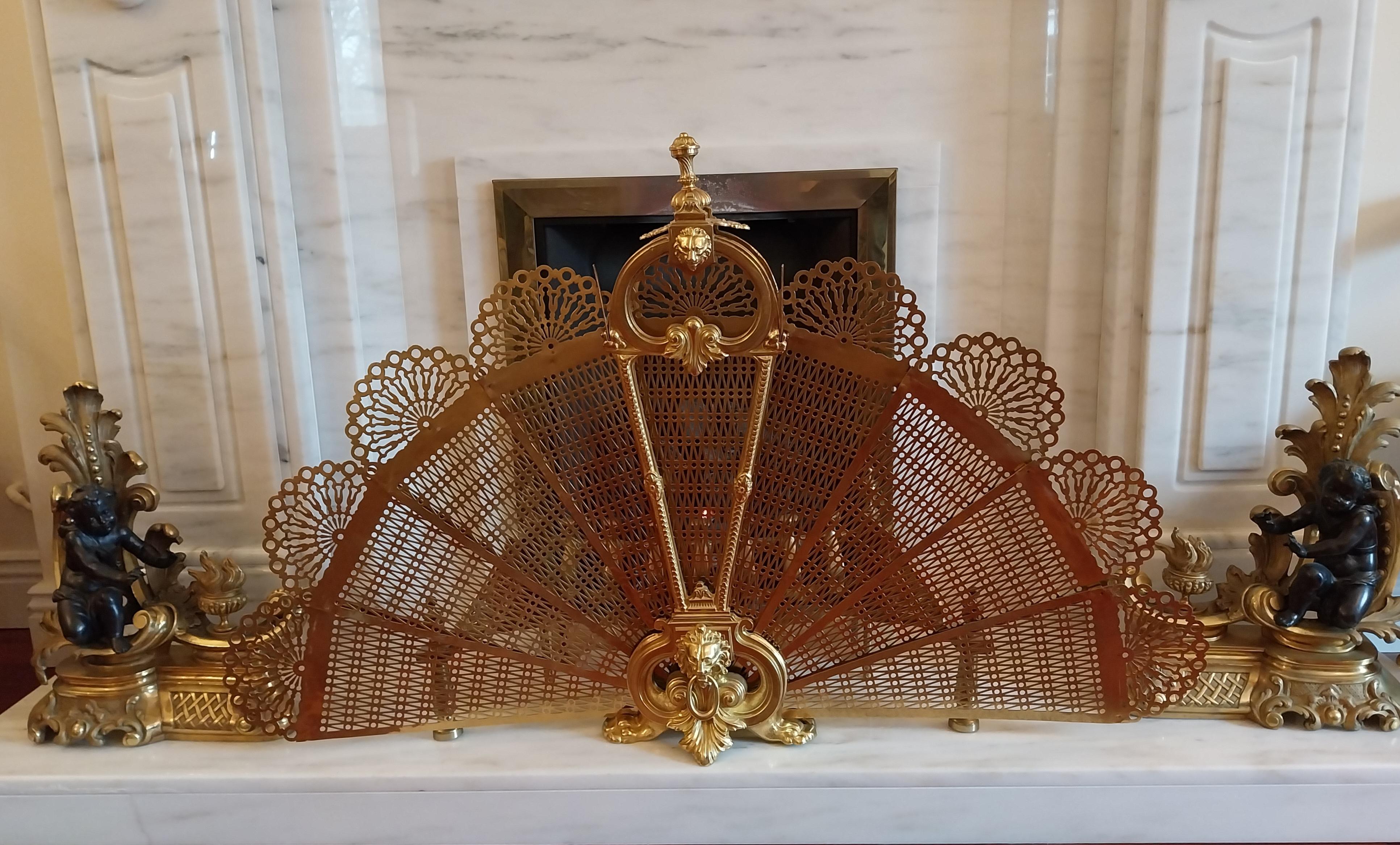 20th Century Antique Fire Screen Guard