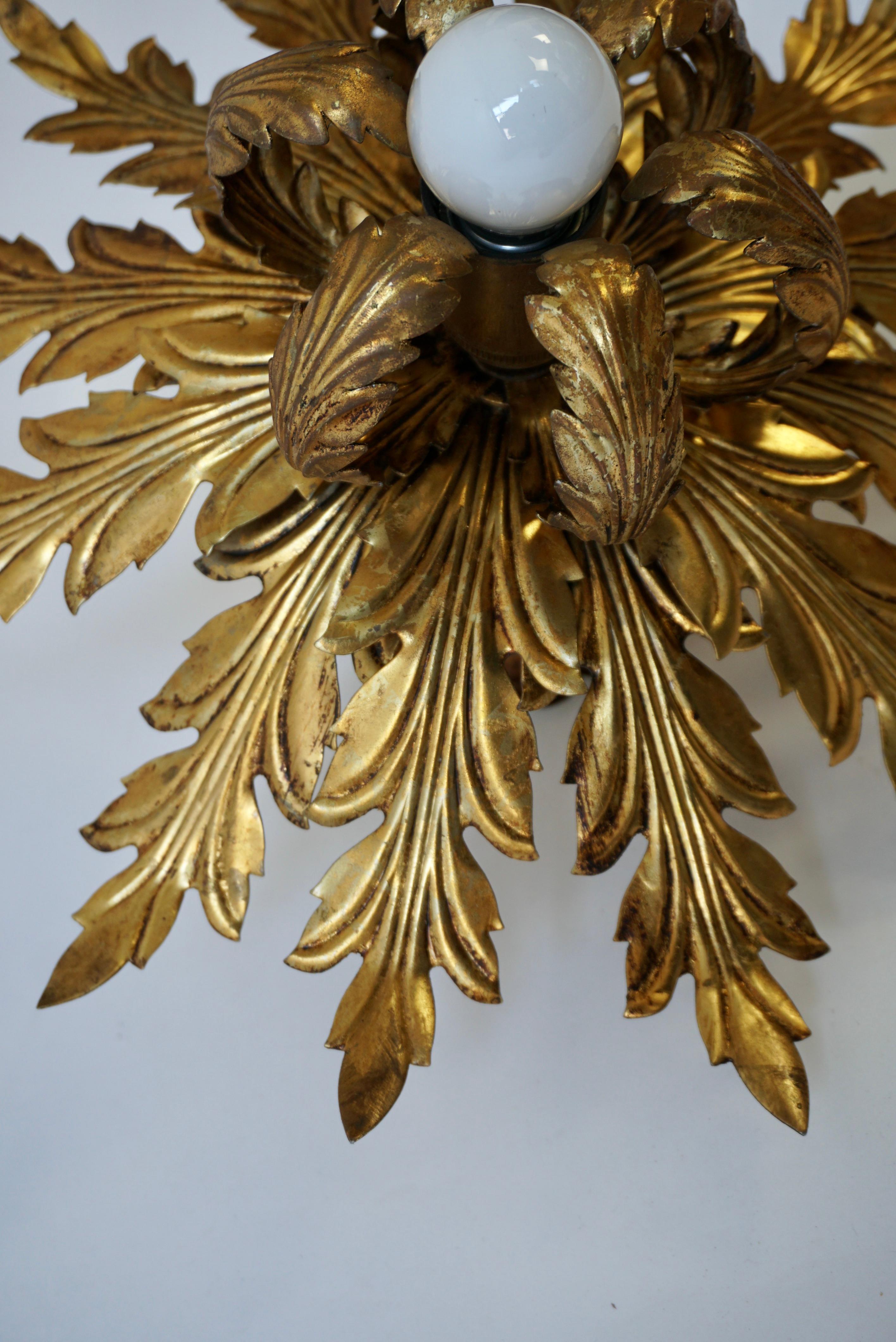 20th Century Gilt Firenze Wall or ceiling lamp, 1960's For Sale