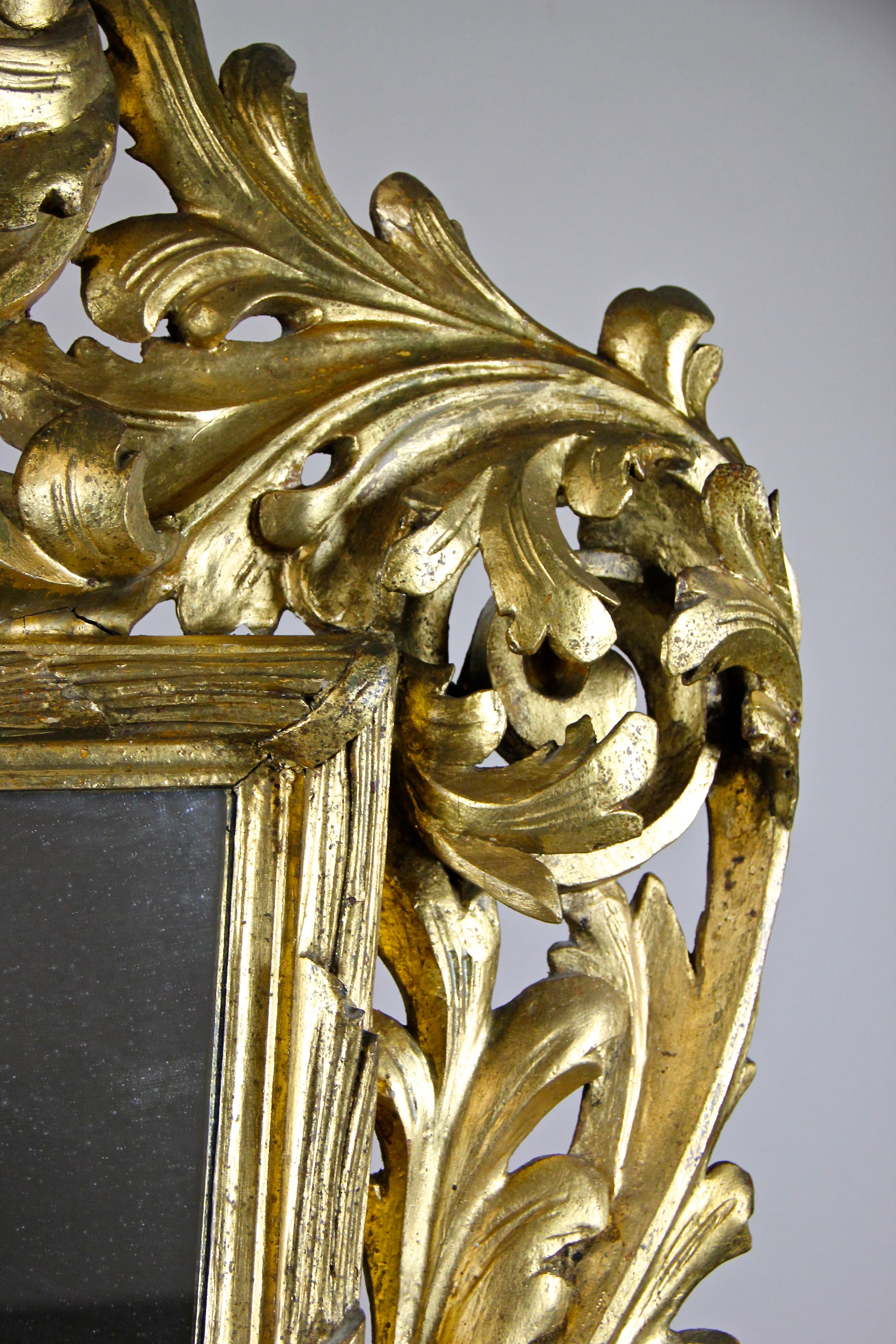 Gilt Florentine Wall Mirror Hand Carved, Austria, circa 1850 3