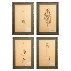 Decorative Art