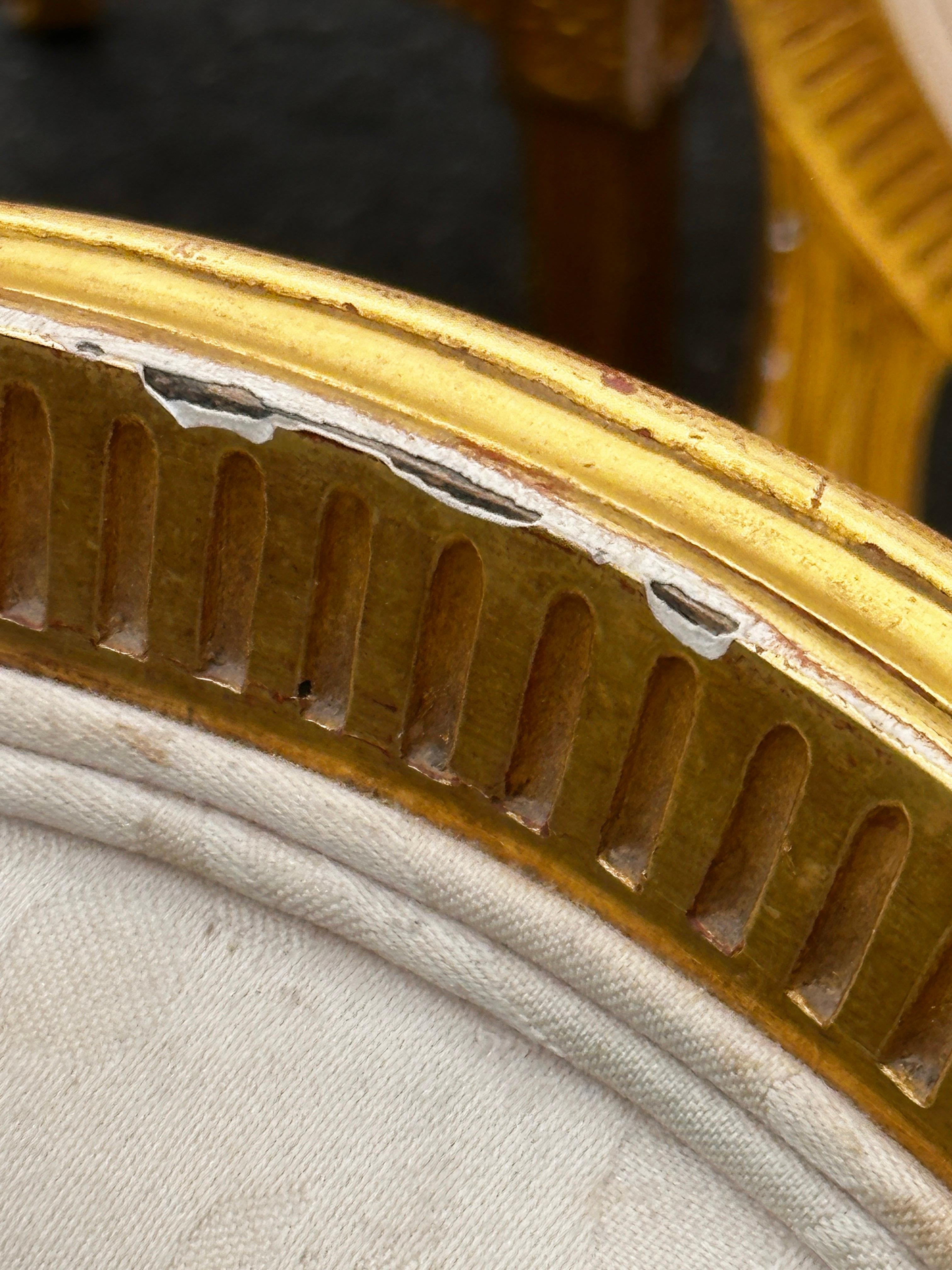 Gilt Gold Provincial Sally Sirkin Lewis for J. Robert Scott dining chairs / 8 9