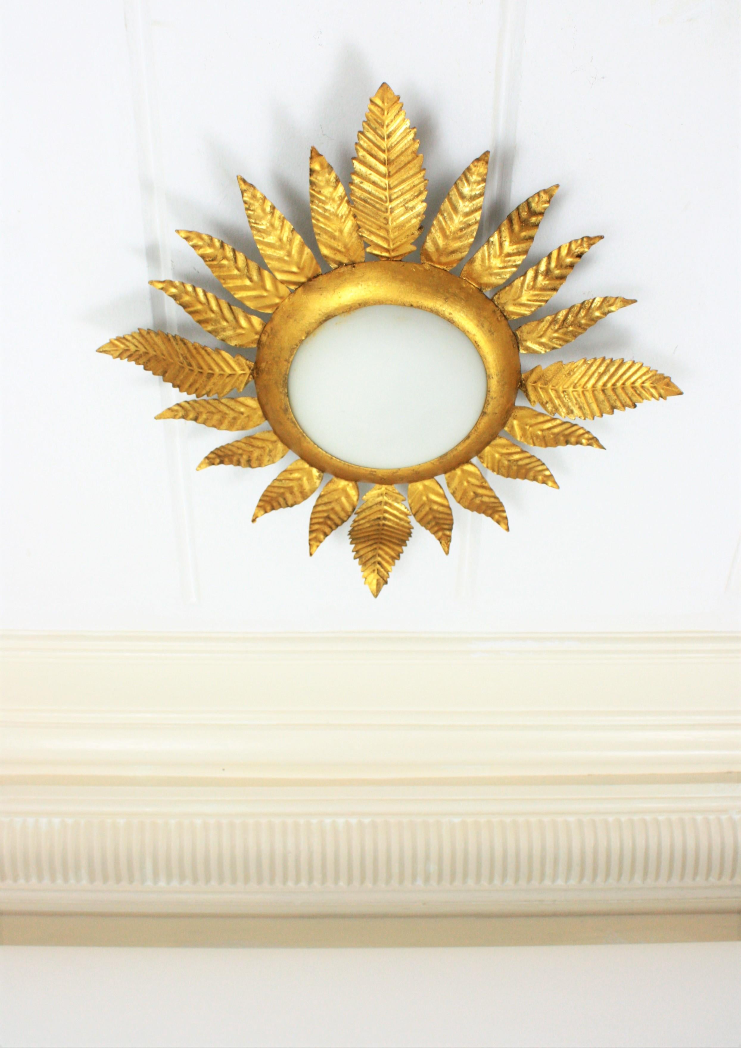 Gilt Iron Sunburst Leafed Light Fixture with Milk Glass Shade, France, 1950s  4