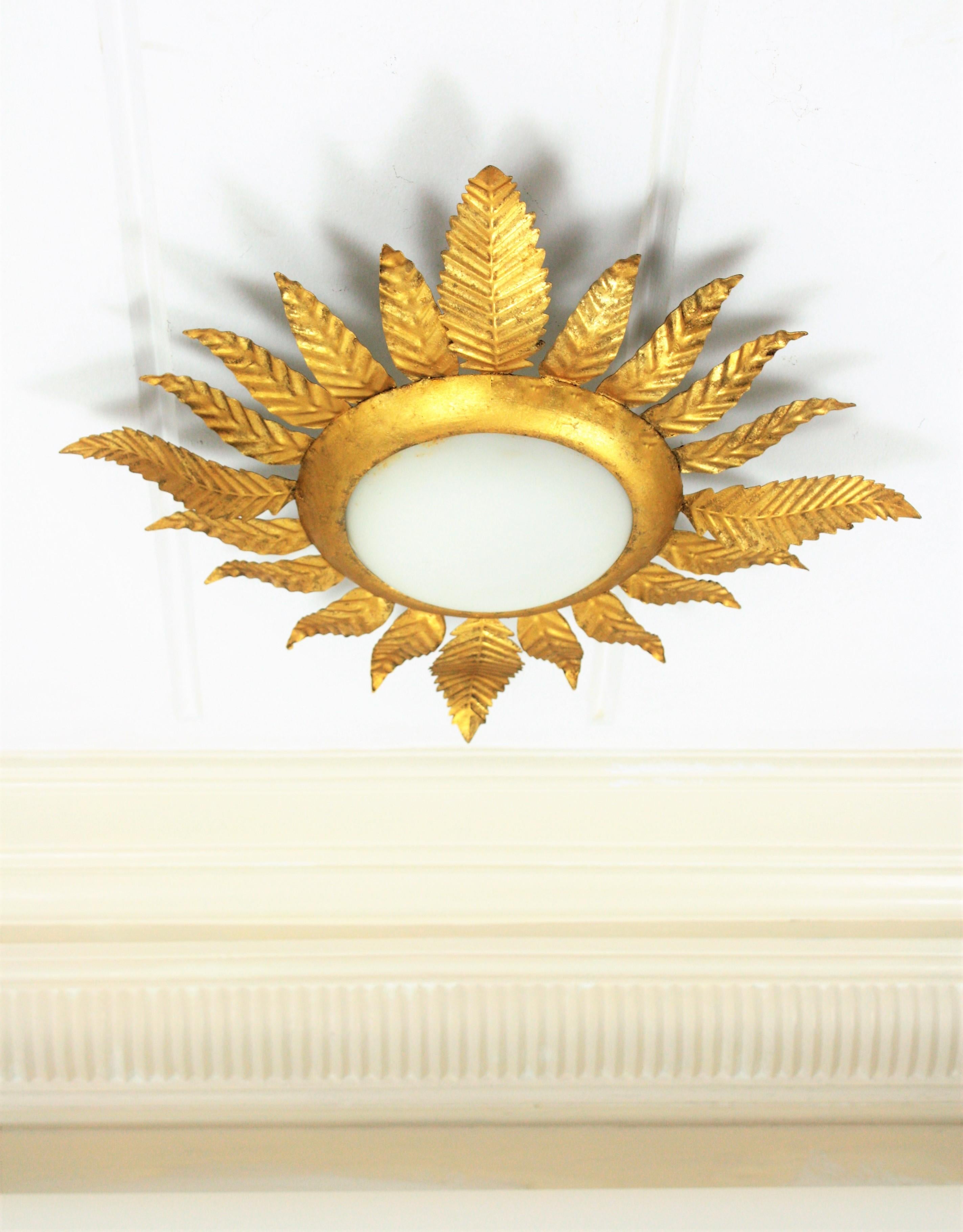 A nice gilt iron flower  / sunburst flush mount with leafed frame. France,1950s
This light fixture features an opaline glass circular shade surrounded by a frame of hand-hammered iron leaves with gold leaf finishing.
It can work as ceiling light and