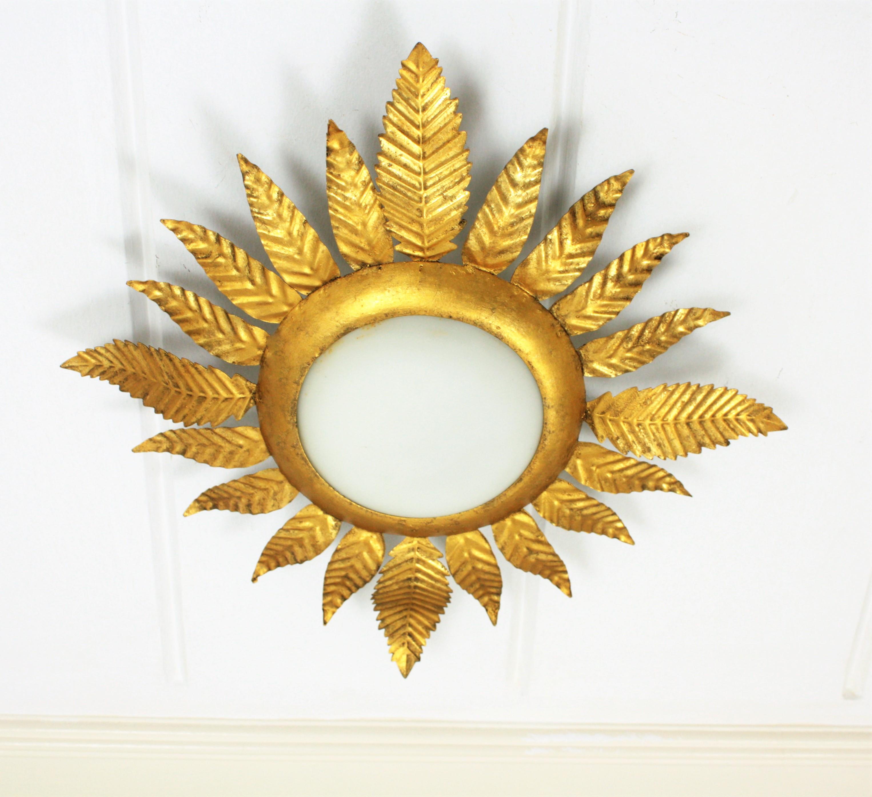 Gilt Iron Sunburst Leafed Light Fixture with Milk Glass Shade, France, 1950s  In Excellent Condition In Barcelona, ES