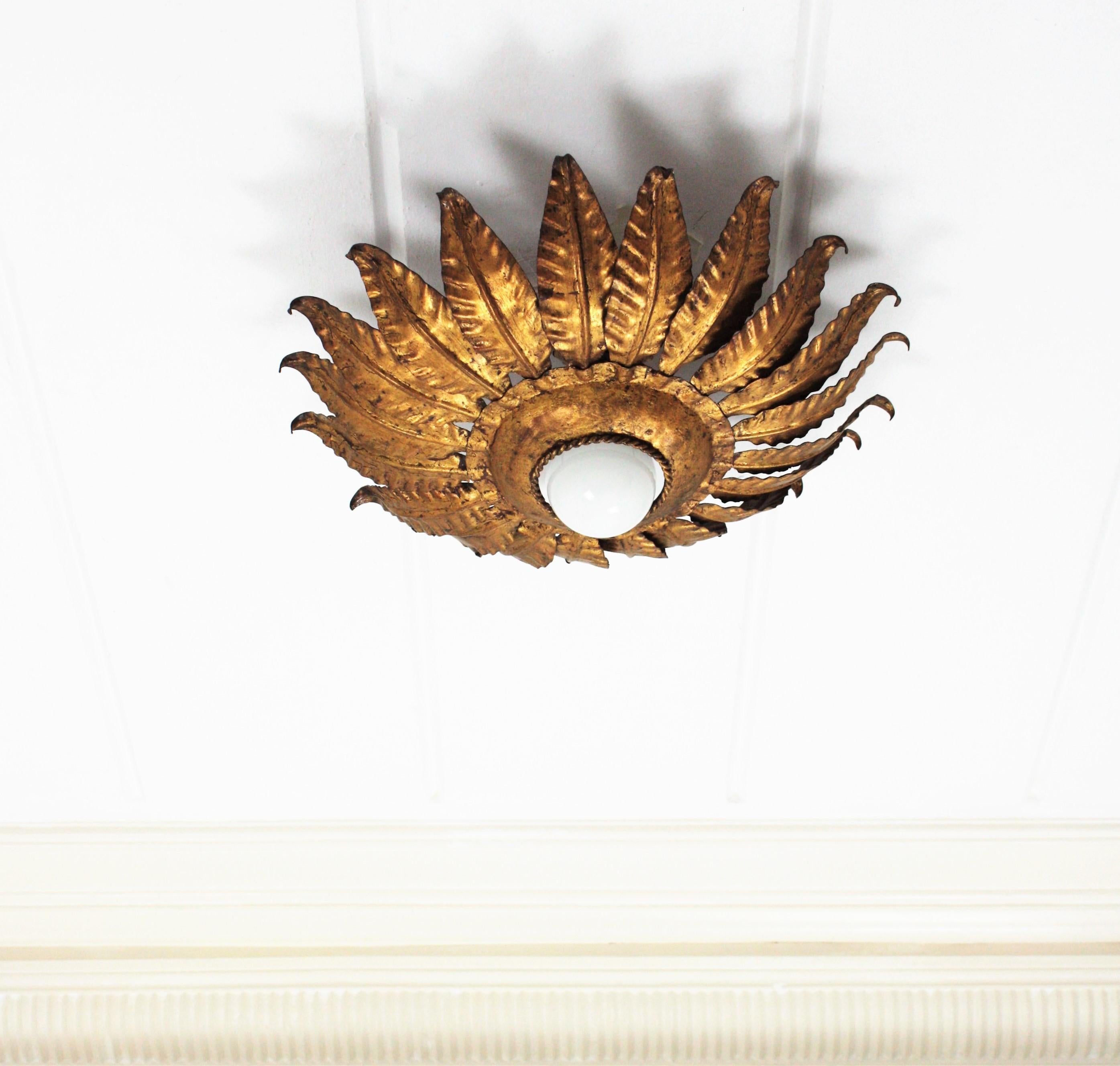 Spanish Sunburst Flower Light Fixture in Gilt Iron, 1950s For Sale 3