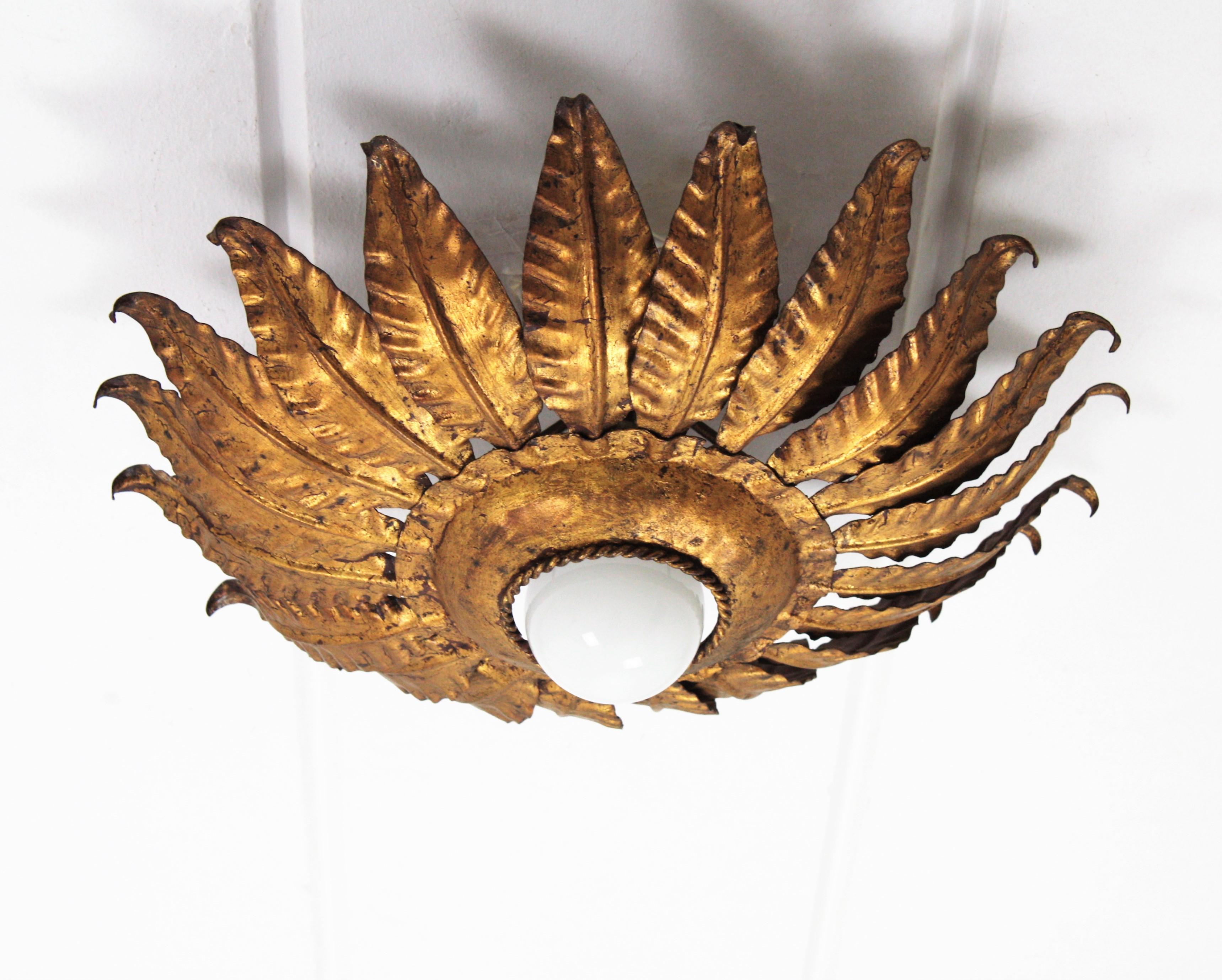 20th Century Spanish Sunburst Flower Light Fixture in Gilt Iron, 1950s For Sale