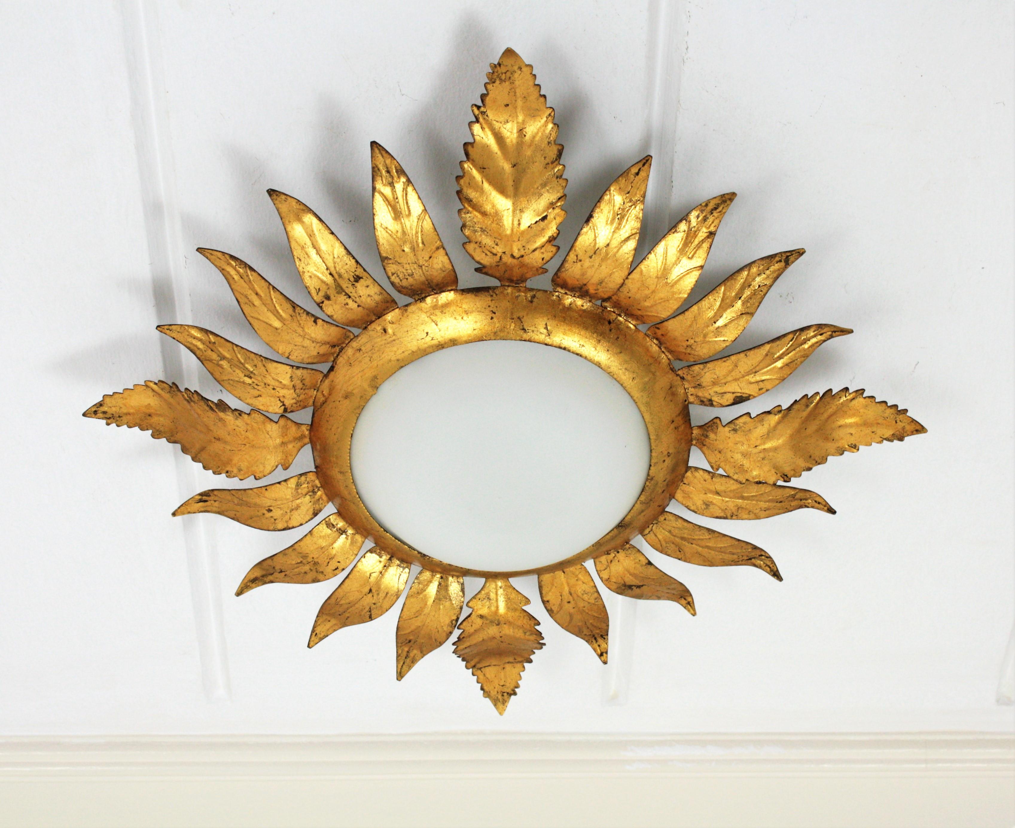A nice gilt iron flower / sunburst flush mount with leafed frame. France, 1950s
This light fixture features an opaline glass circular shade surrounded by a frame of hand-hammered iron leaves with gold leaf finishing.
It can work as ceiling light and