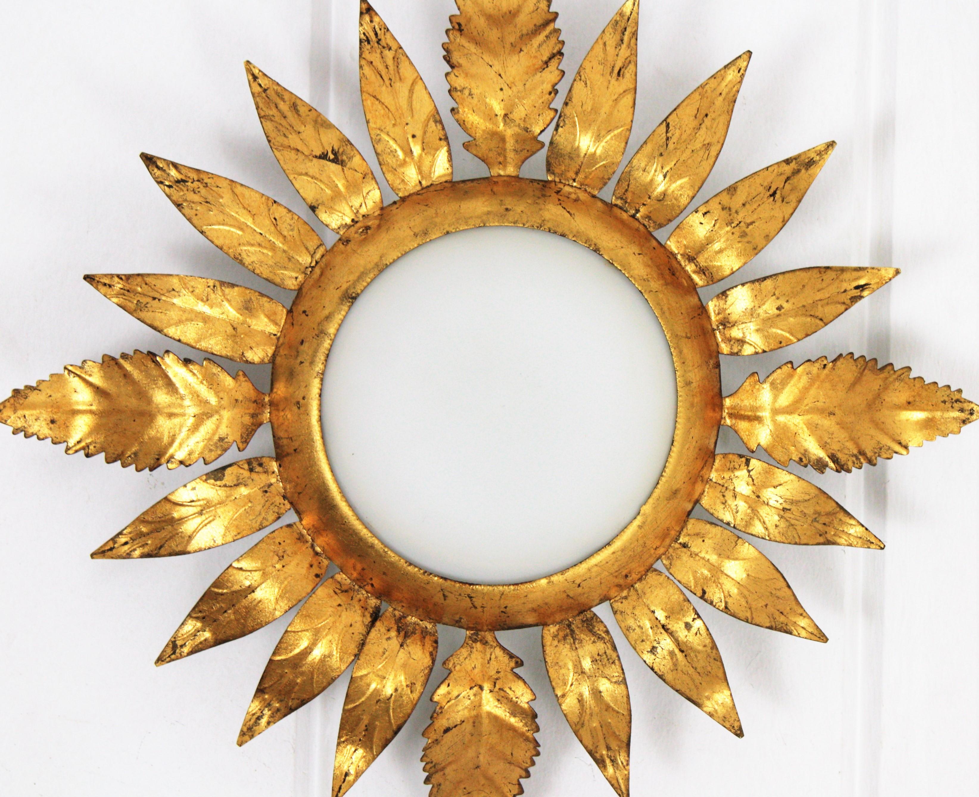 Gilt Iron Sunburst Leafed Light Fixture with Milk Glass Shade, France, 1950s In Good Condition In Barcelona, ES