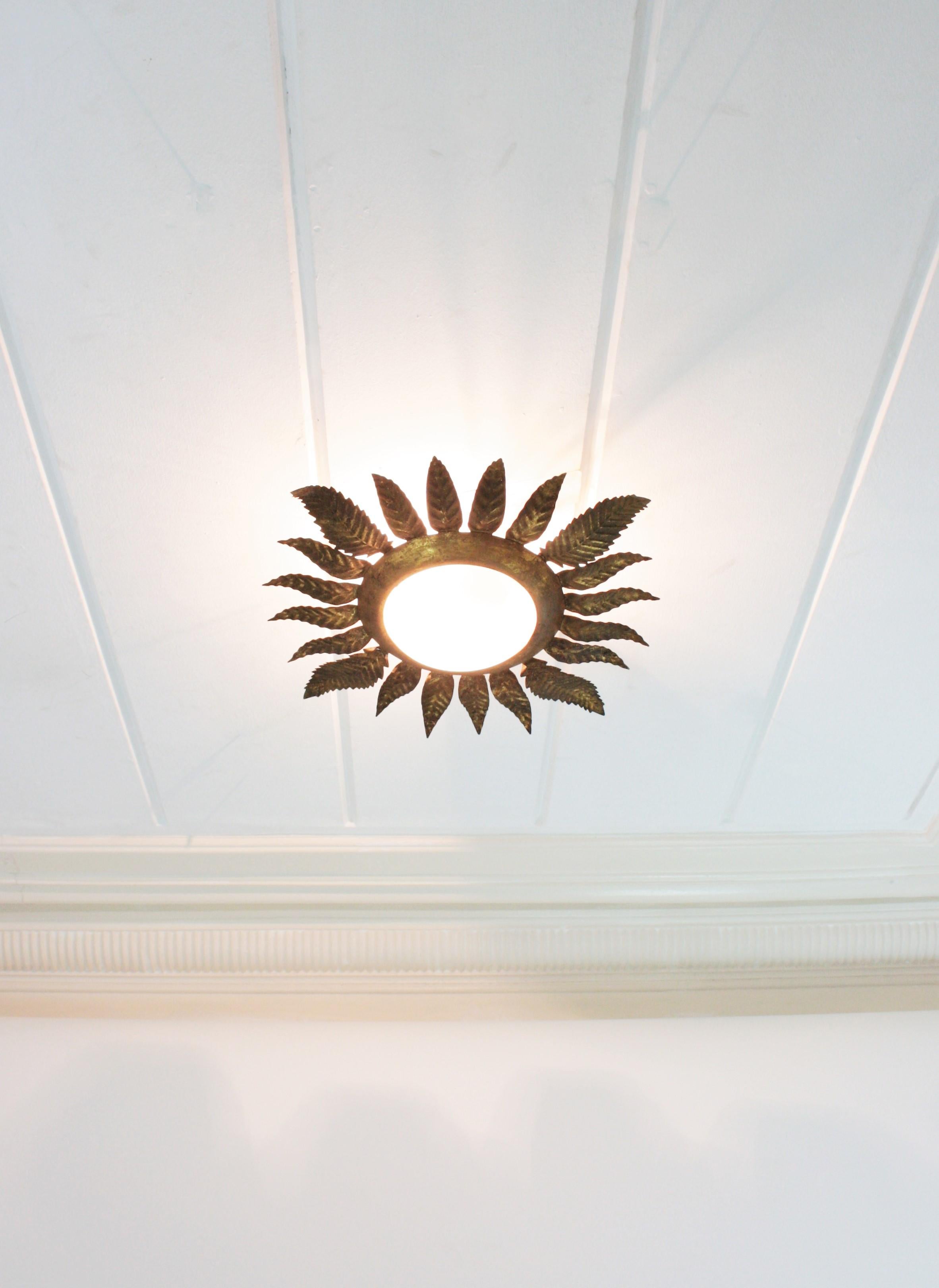 Gilt Iron Sunburst Leafed Light Fixture with Milk Glass Shade, France, 1950s In Good Condition In Barcelona, ES