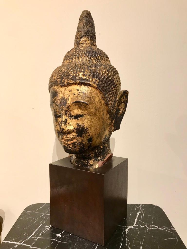 A carved sandstone 19th century Thai Buddha head with black lacquer and gilt surface. His life-size face with a serene expression, arched eyebrows, Mona Lisa smile, aquiline nose. Wearing a conical-shaped usnisha. Mounted on a walnut base.