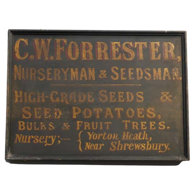 Opticians Signs 1890's Gilt Dispensing Optician's Trade Sign For Sale at 1stDibs