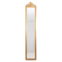 Giltwood and carved mirror. Circa 1880.