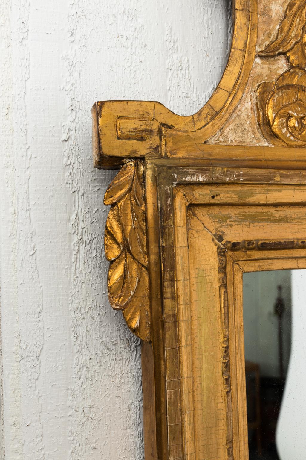 Giltwood Gustavian Mirror 7