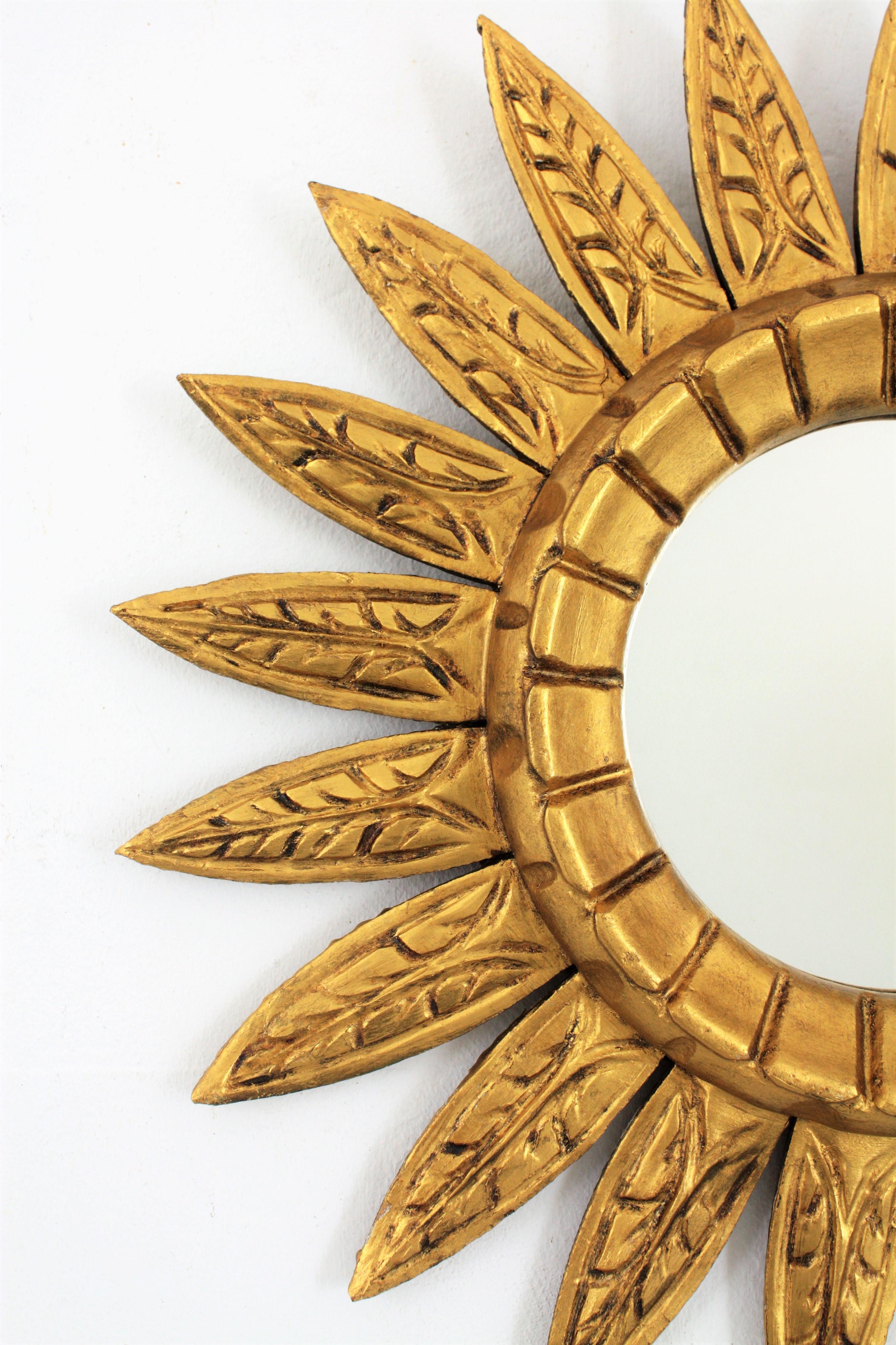 Sunburst Flower Mirror in Giltwood, Spain, 1950s For Sale 1