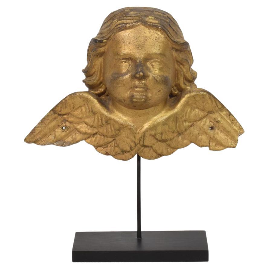 Scultura con testa d
angelo alata in legno dorato, barocco francese, CIRCA 1750 in vendita