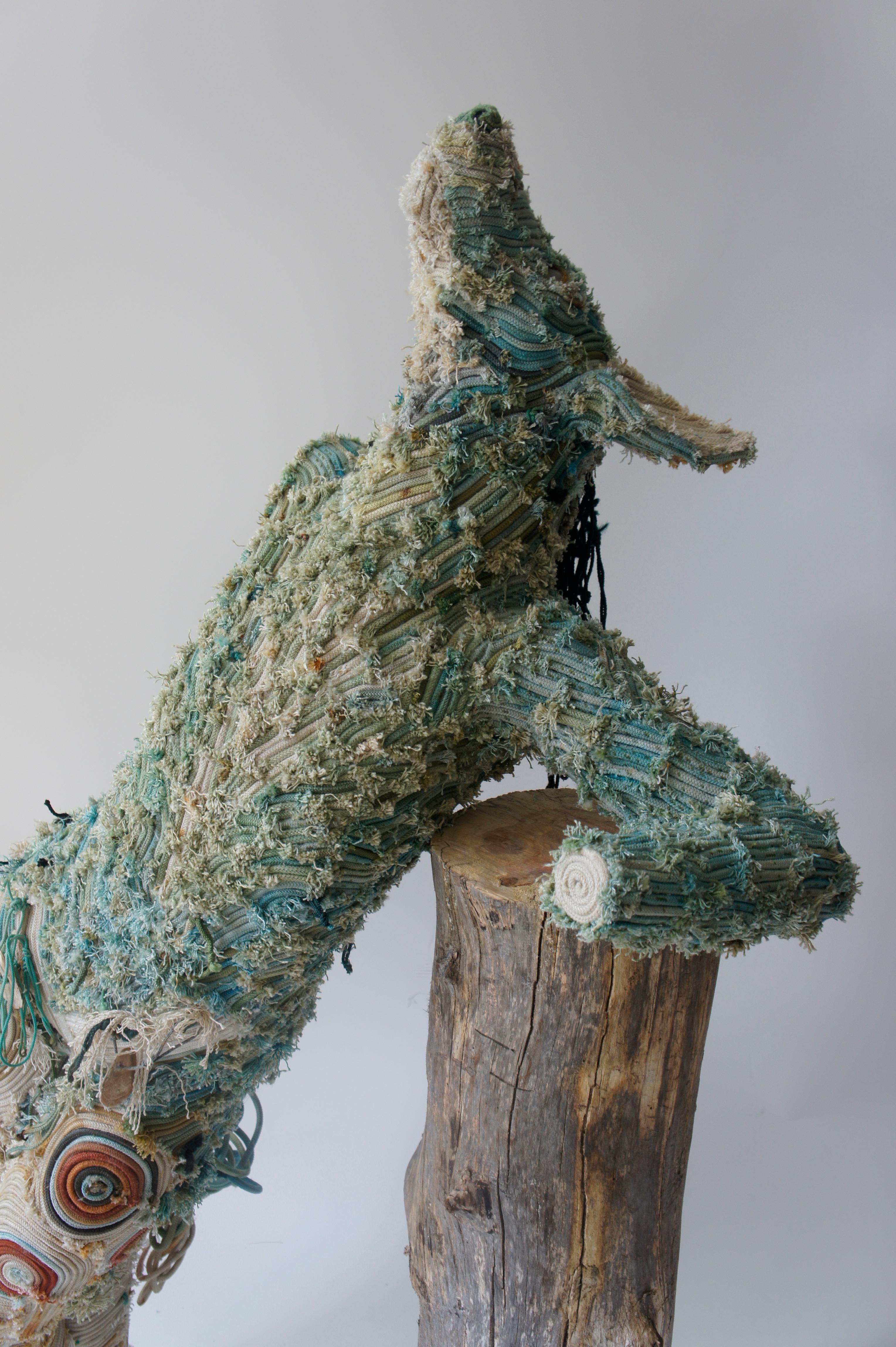 'I am a multidisciplinary artist with a focus on ecofeminism using fiber and mixed media constructions.  My materials include hand-dyed commercially fished line and ghost gear, recycled and antique textiles, fabric printed with cyanotype emulsions