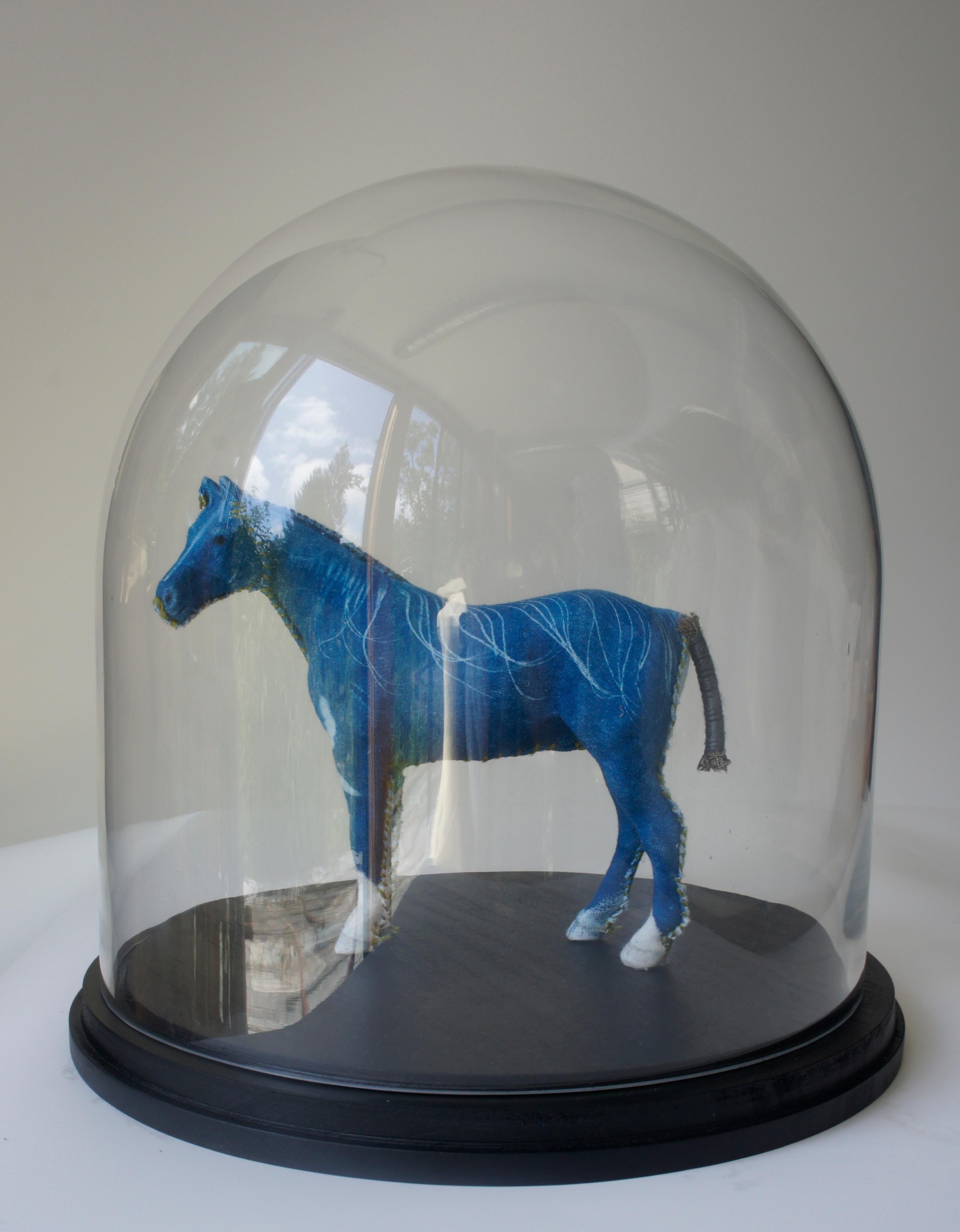 Miniature horse under glass dome: 'simple cyanotype horse- miniature' - Mixed Media Art by Gin Stone